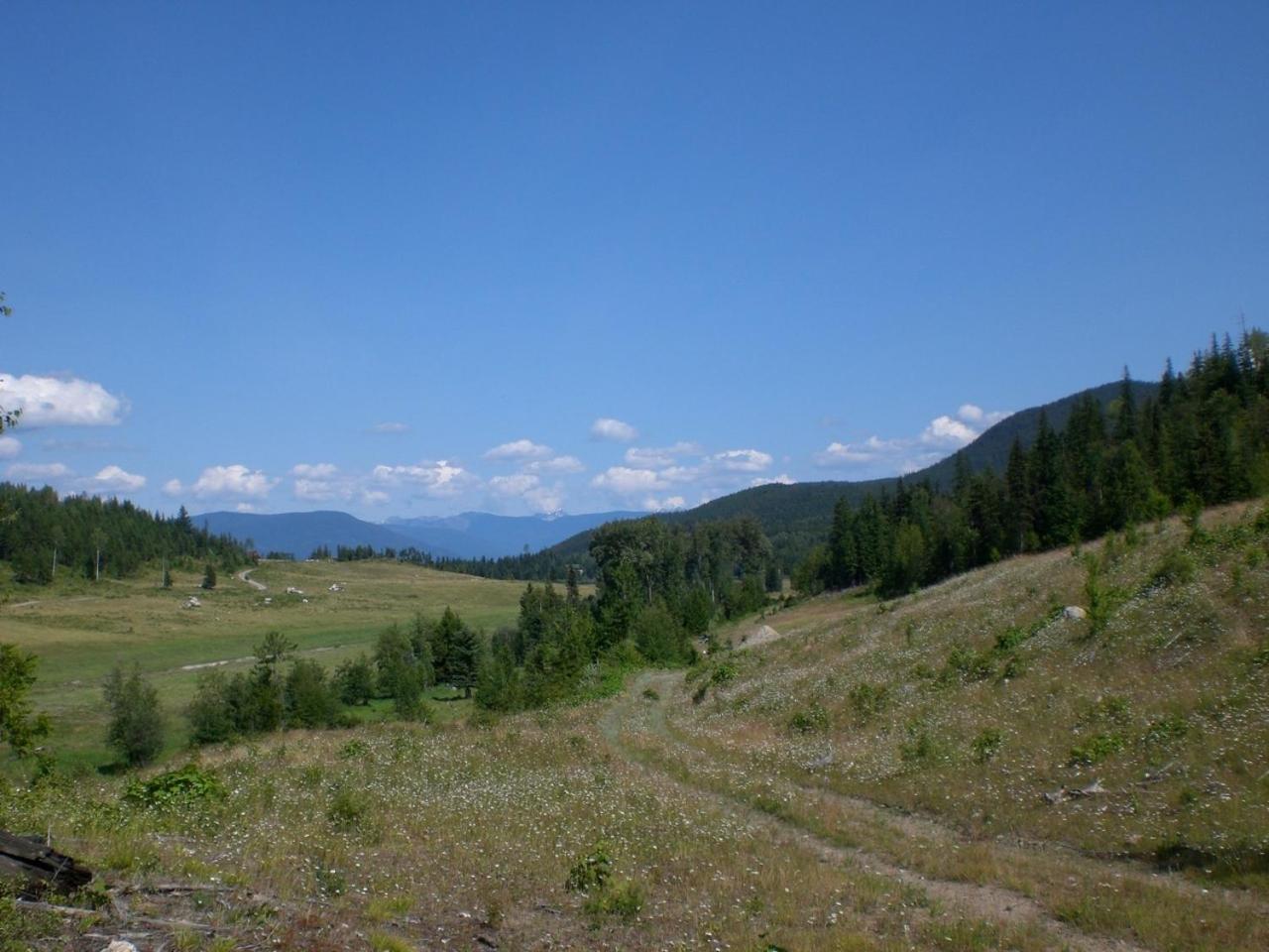 Bear Valley Highlands