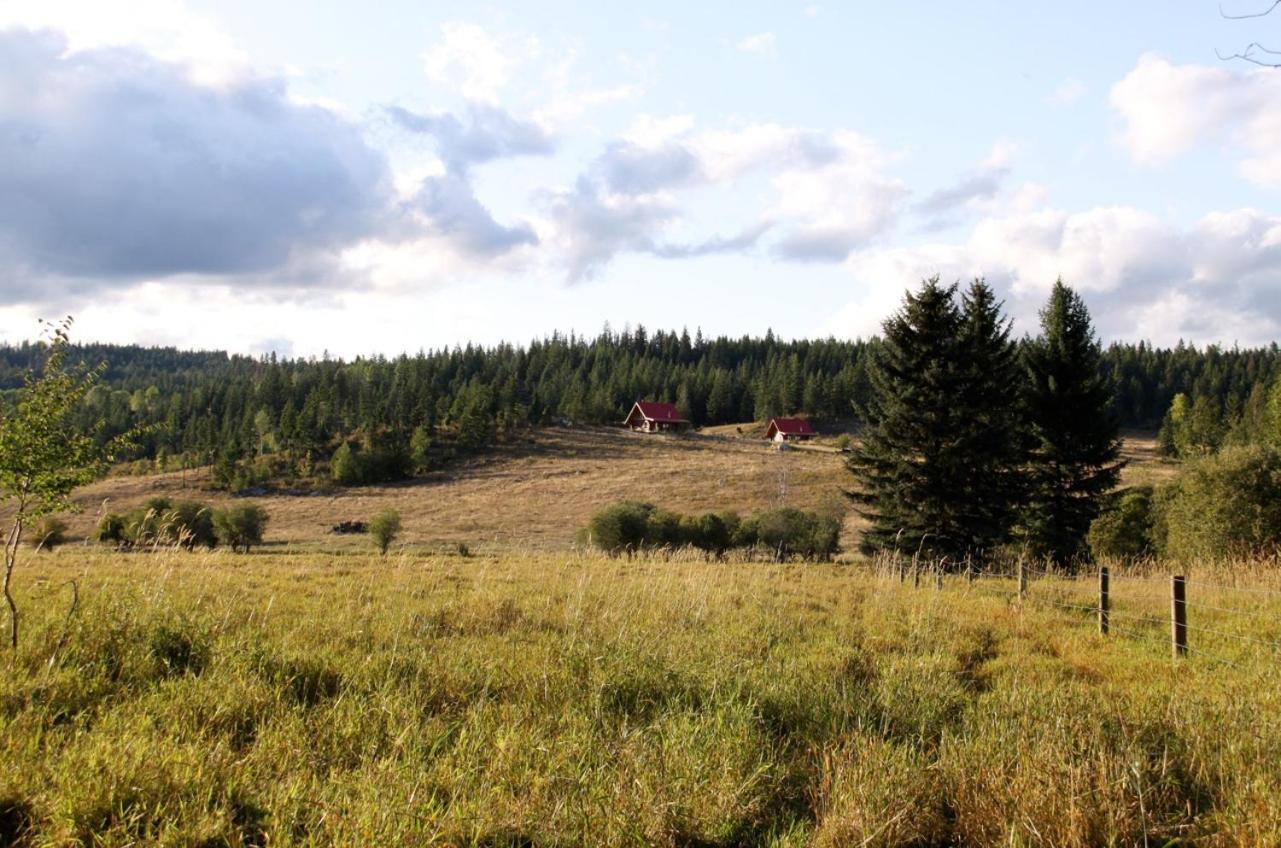Bear Valley Highlands