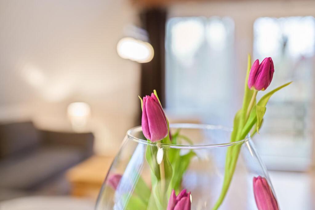 Ferienhaus Hannah 100