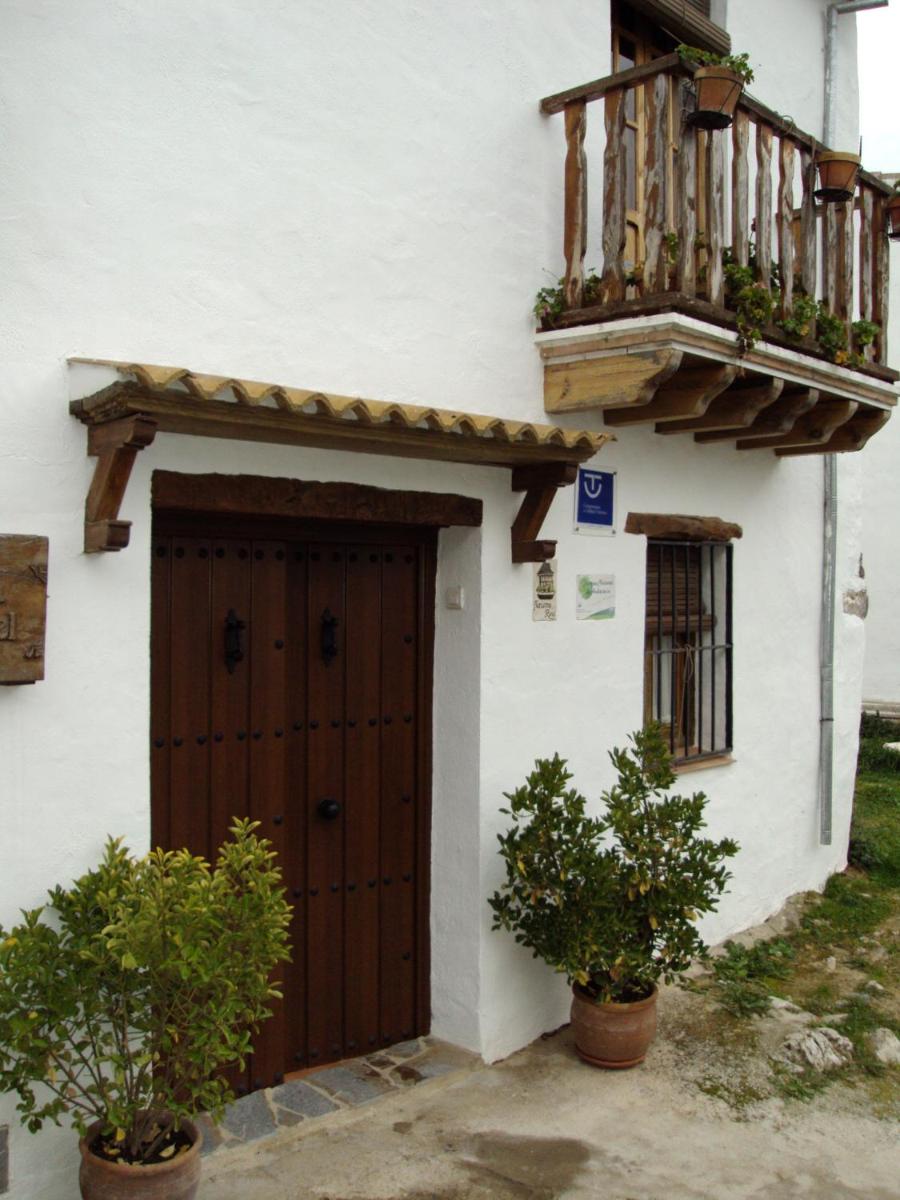 Casa Isabel by CasaTuristica photo 3