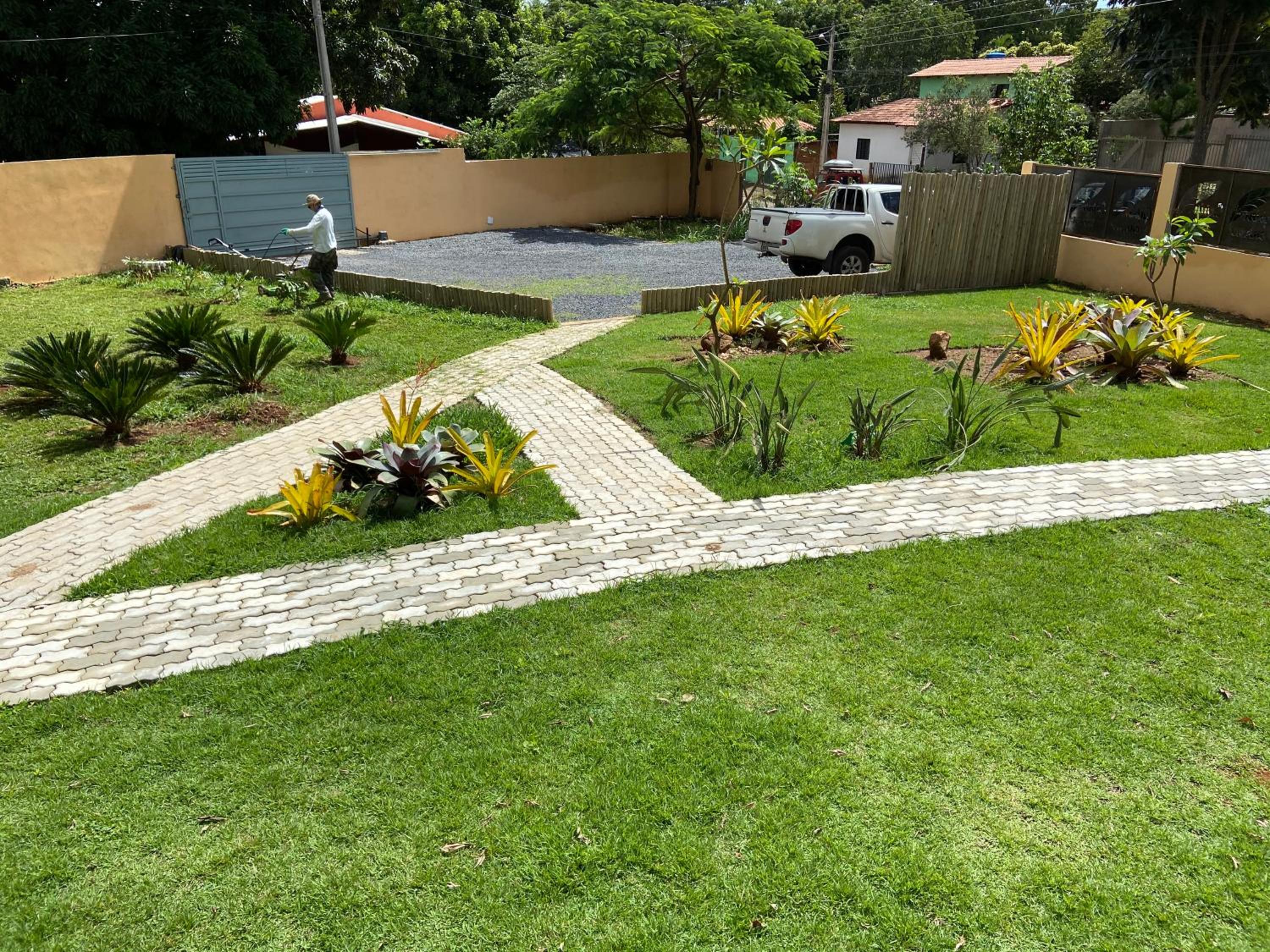 Capim Canoa
