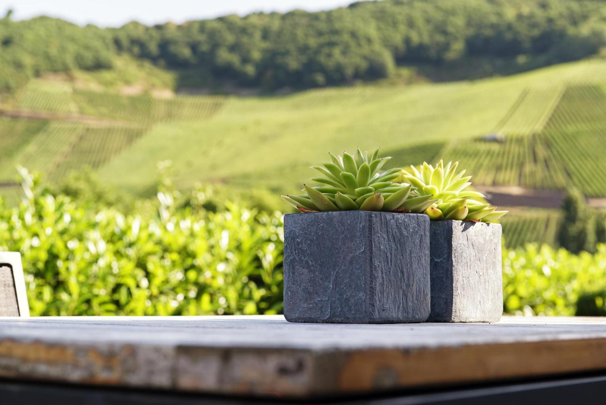 Gästehaus mit Weitblick im Weingut Christoph Clüsserath und Bernhard Eifel view 5