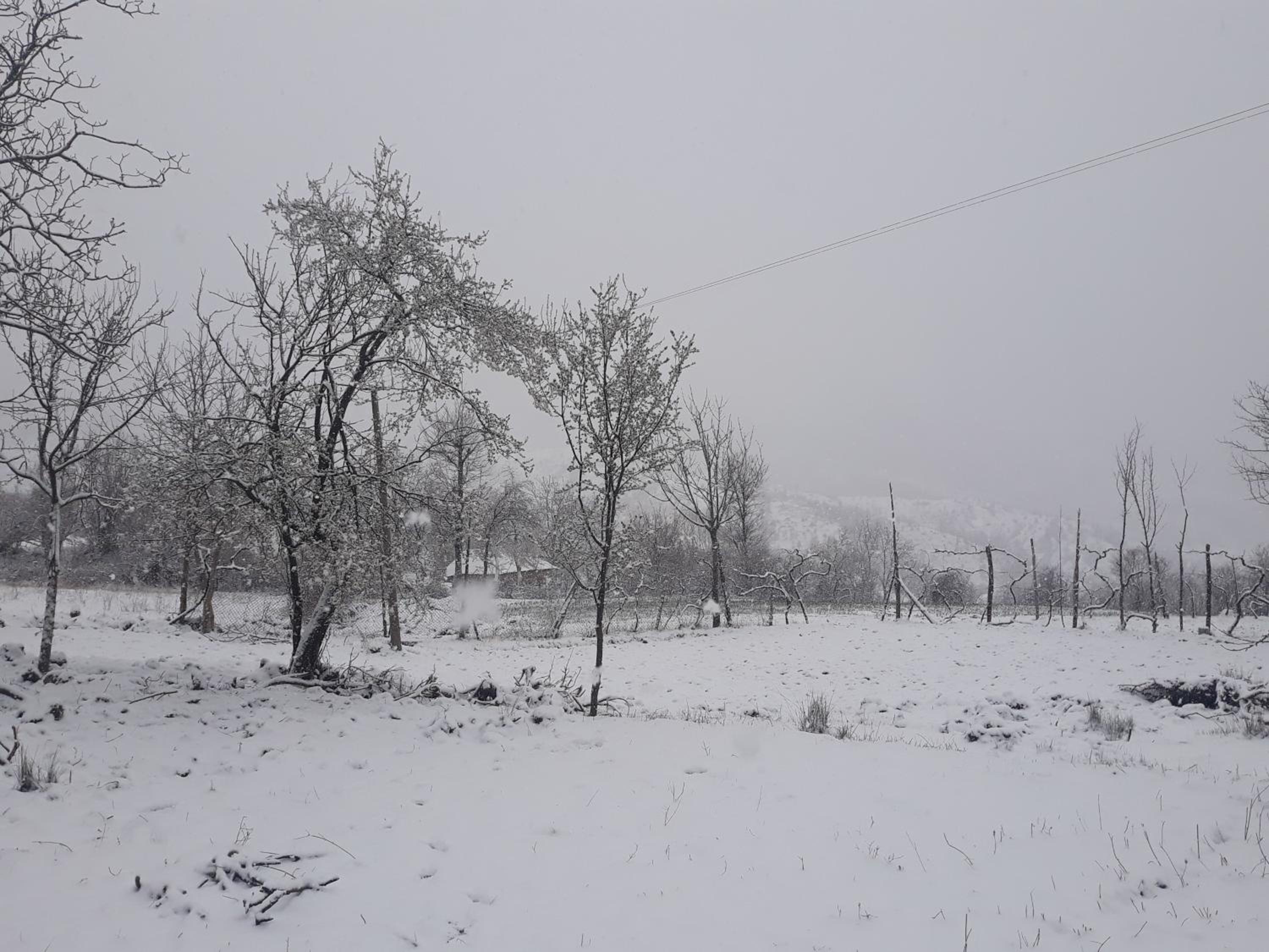 VILA DISHA