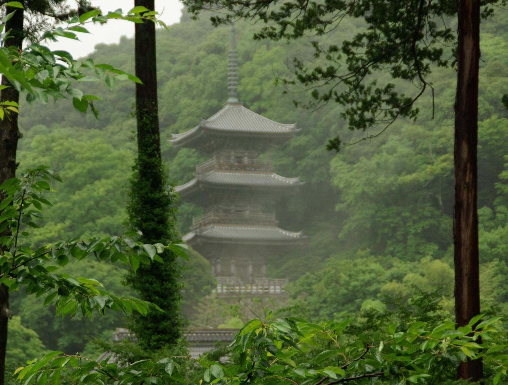 Ryokan Koyokan
