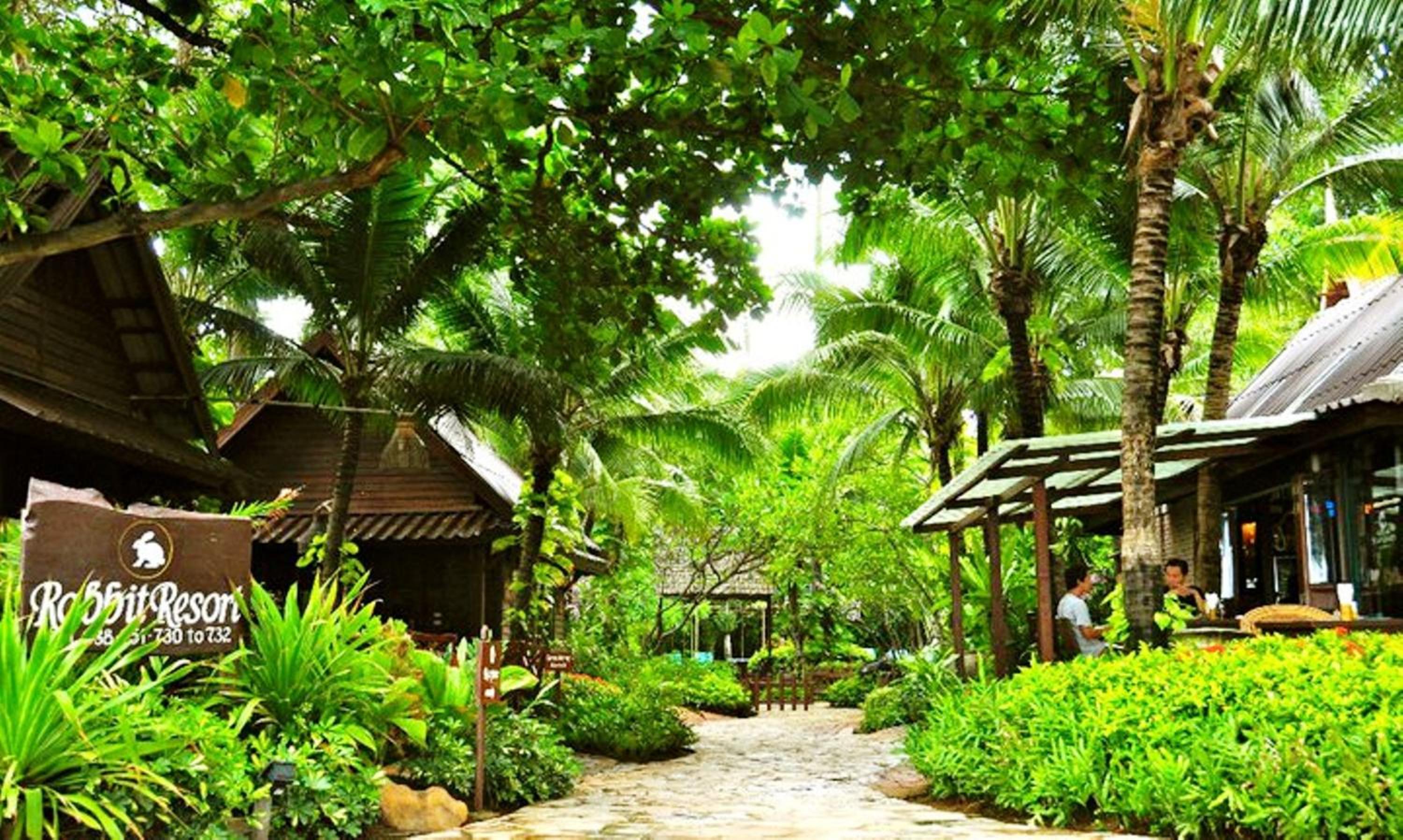 Rabbit Resort Pattaya