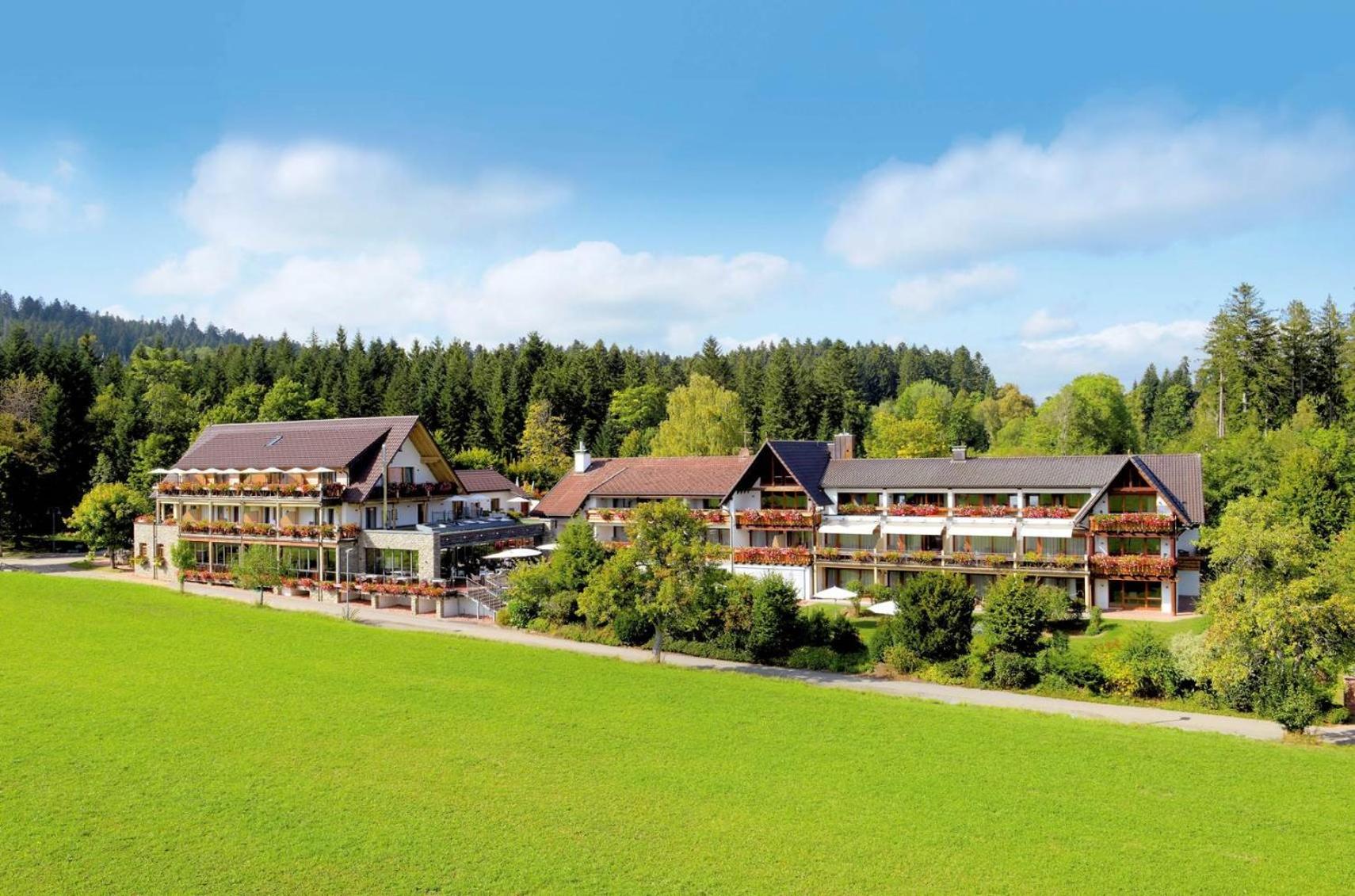 Hotel Grüner Wald - Image 1