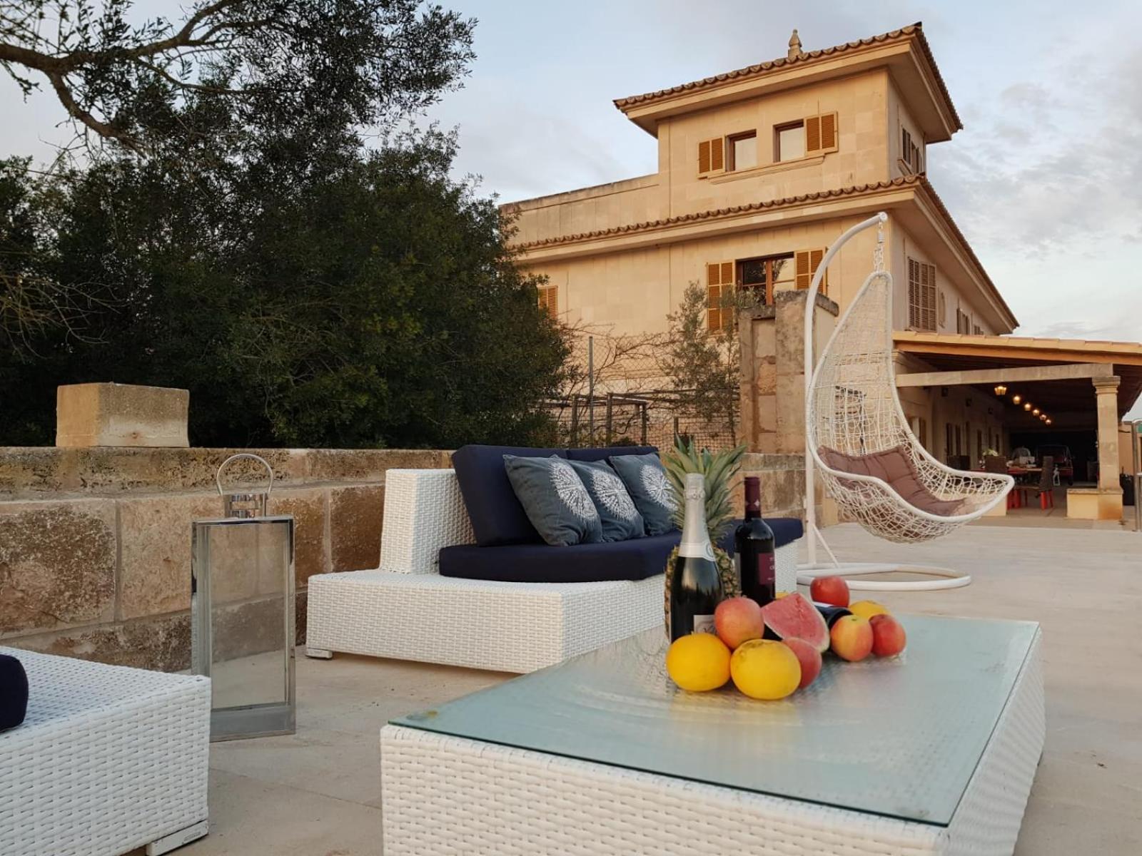 balance & terrace