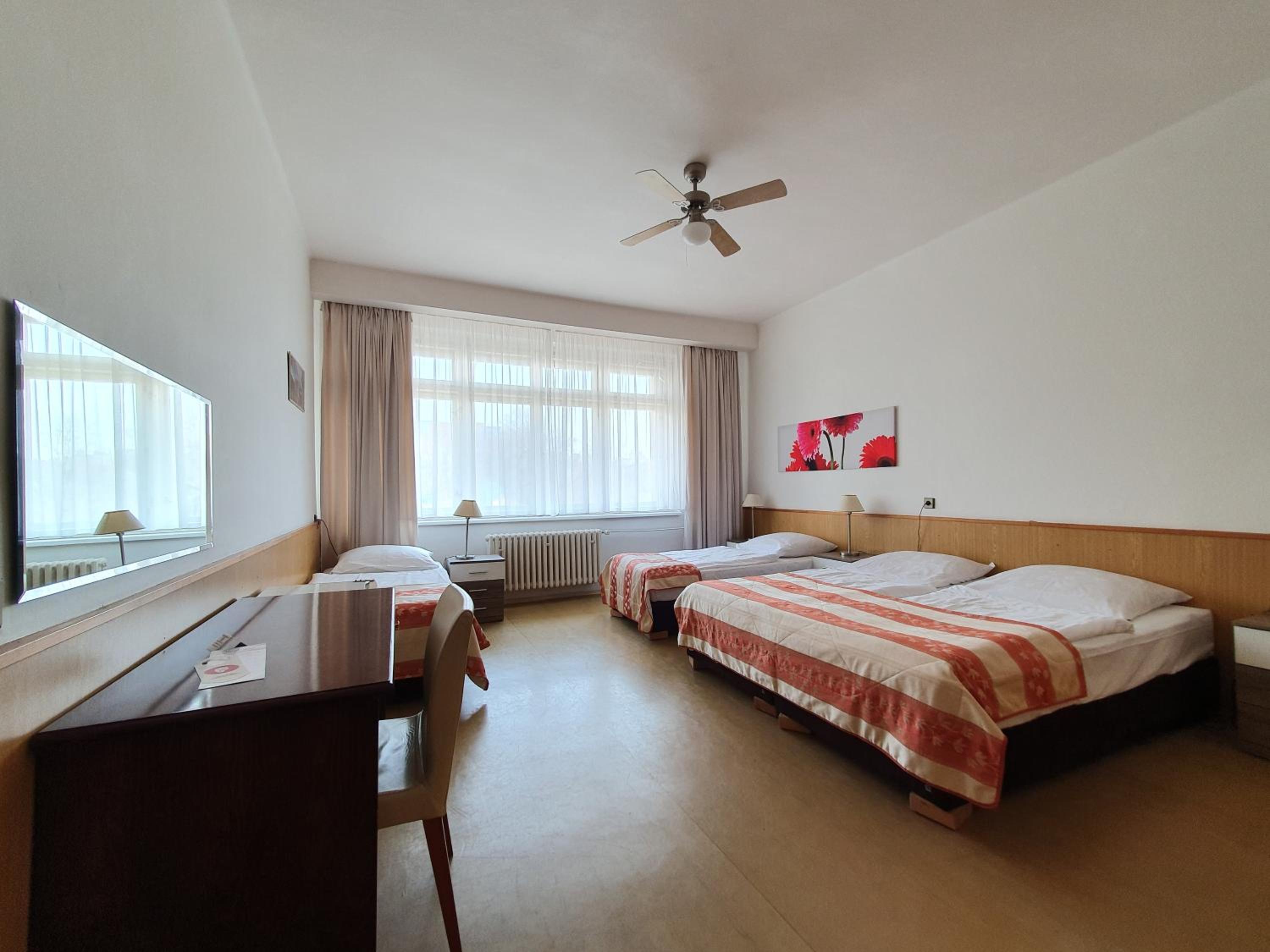 Residence Dykova - former Pension Jana, Domov Mládeže