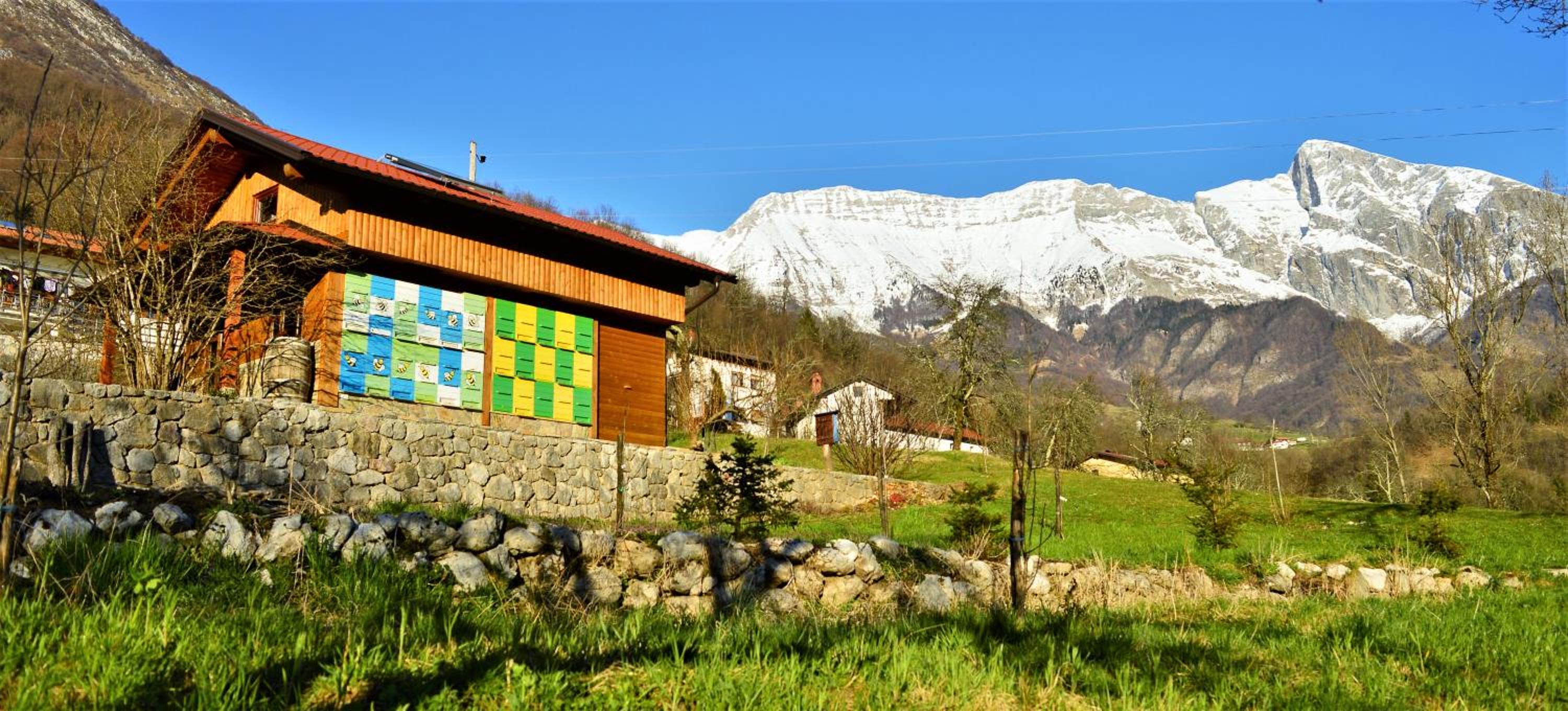 Sleeping with the bees Kozjak view 3