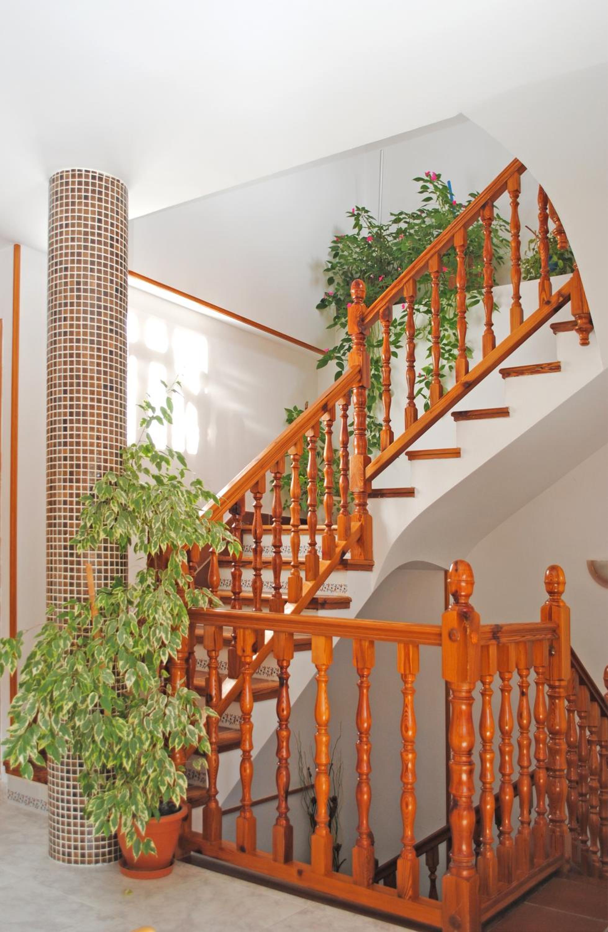 Apartamentos Vicenta