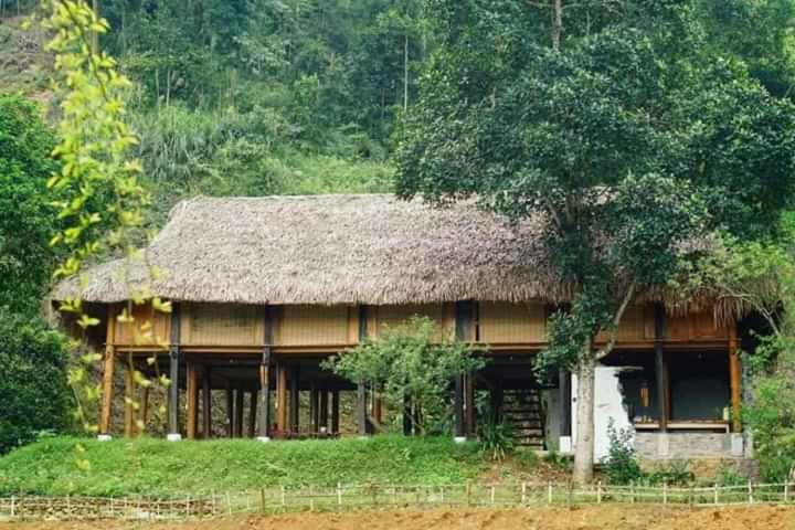 Tùng Núi Homestay view 2