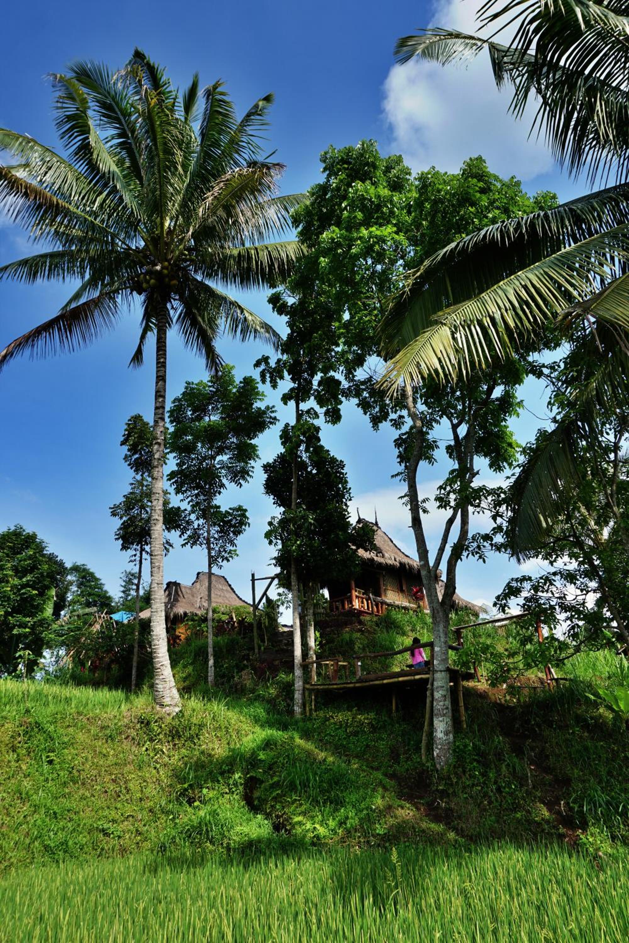 Satu Lingkung view 3