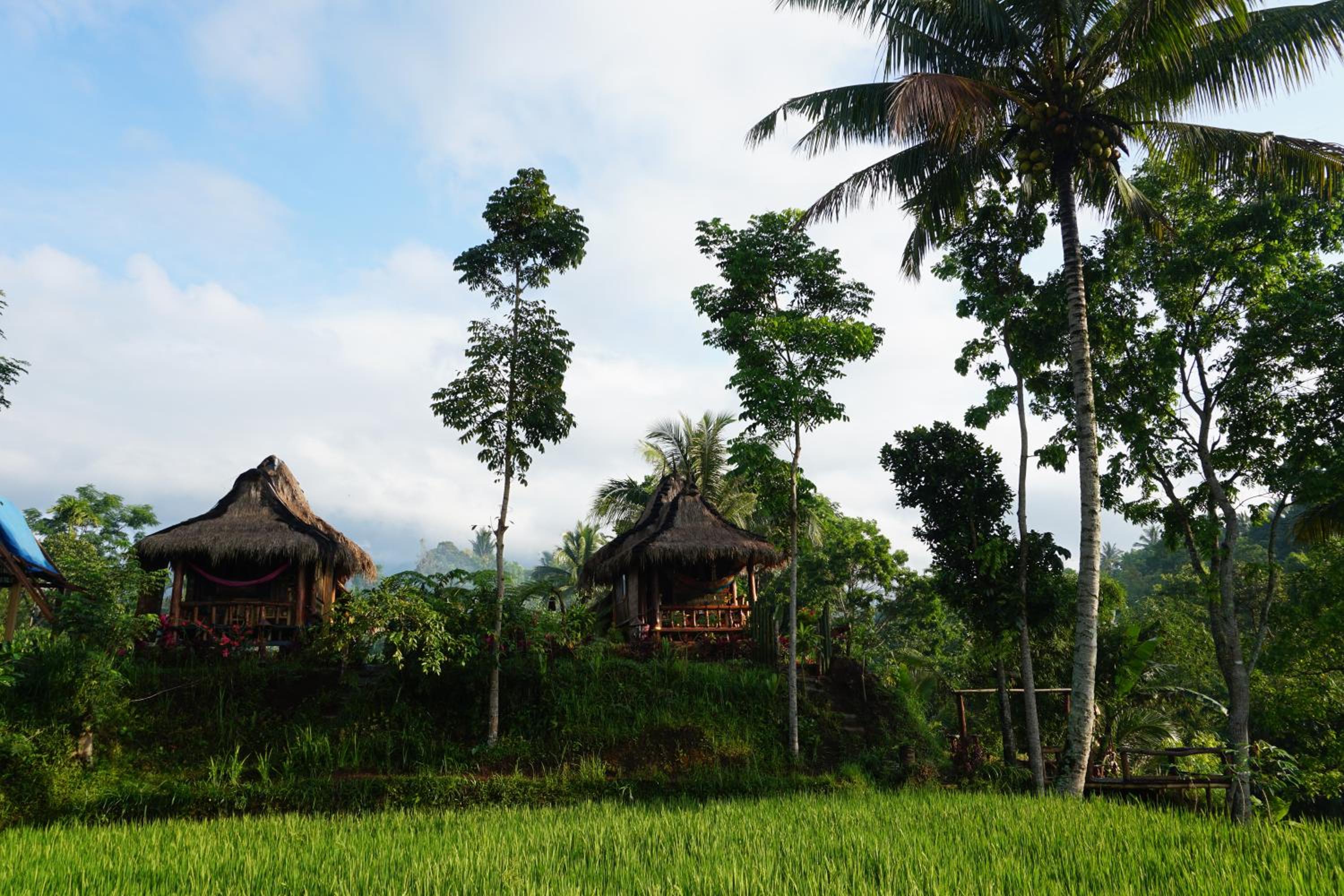 Satu Lingkung view 4