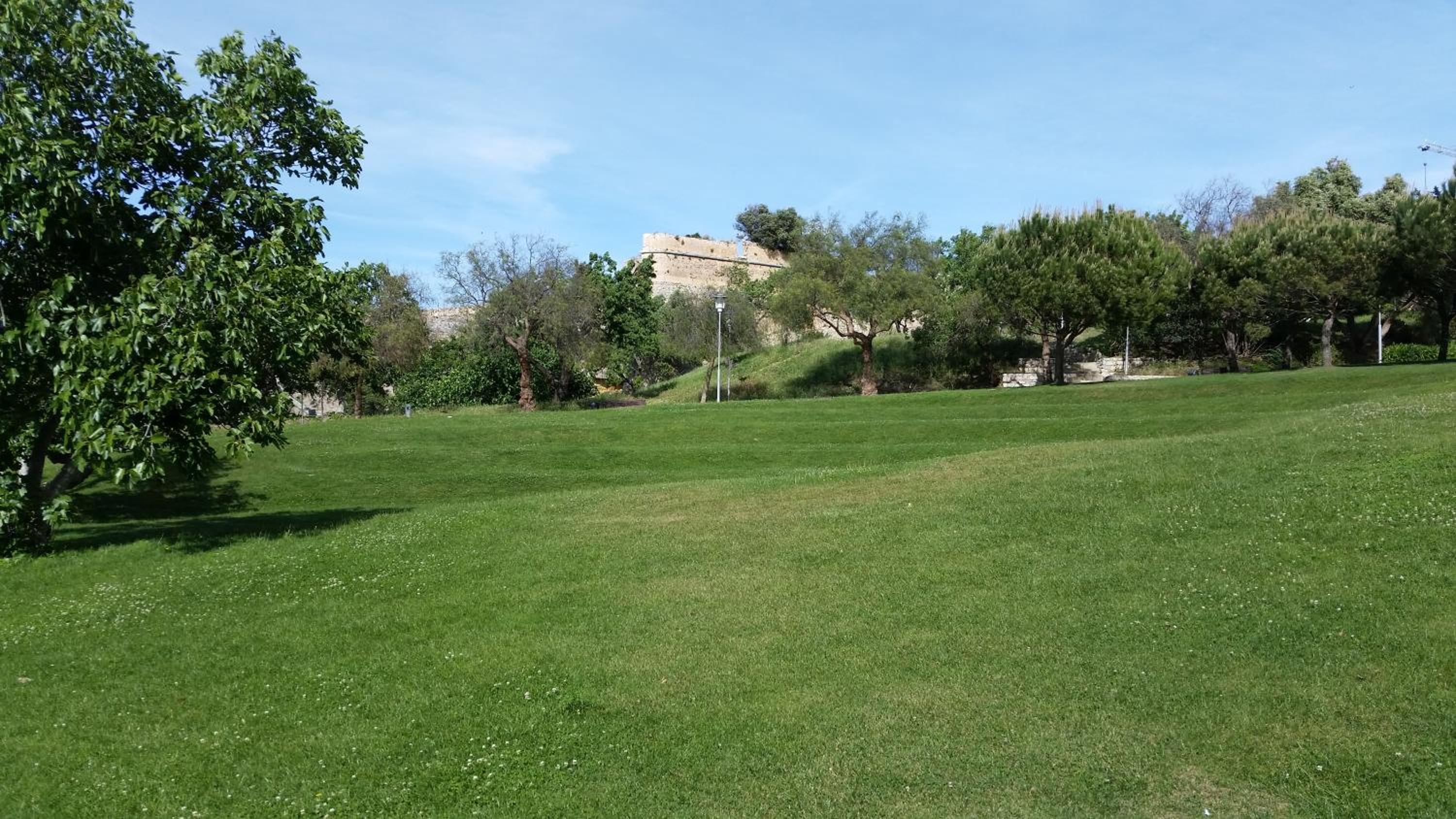 Photo 26