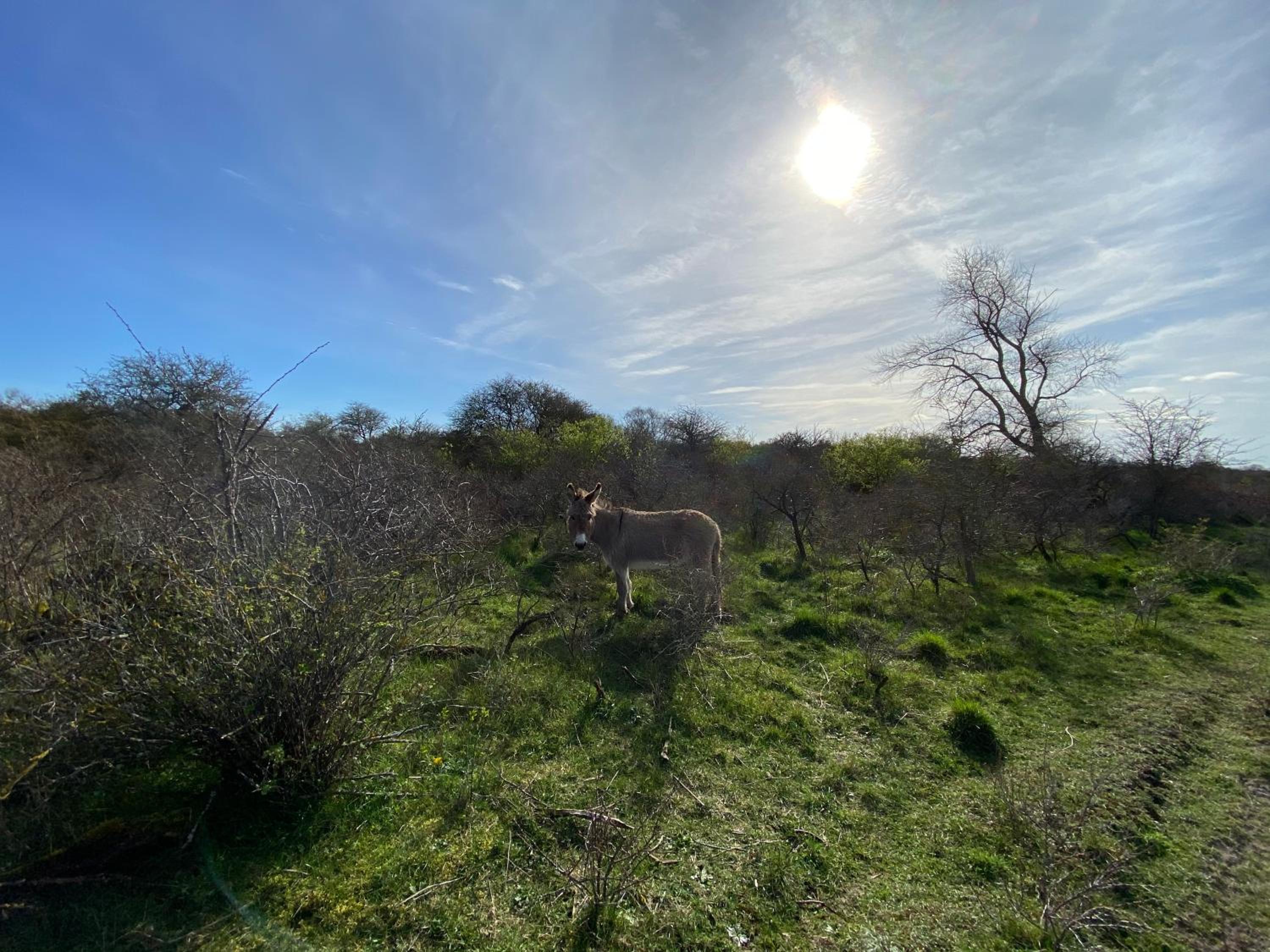 Photo 33