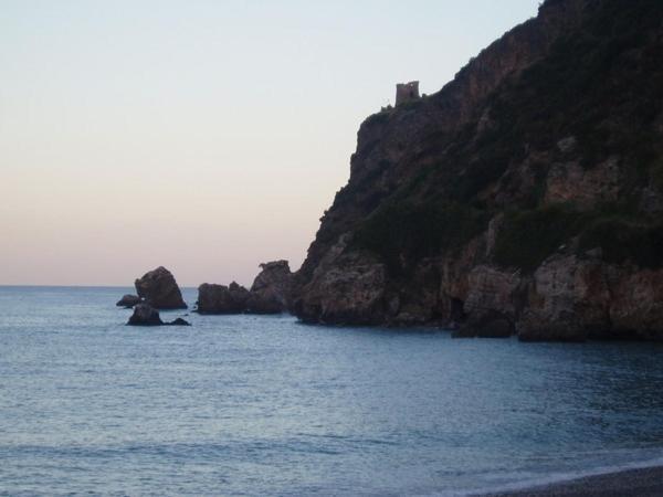 Photo 49
