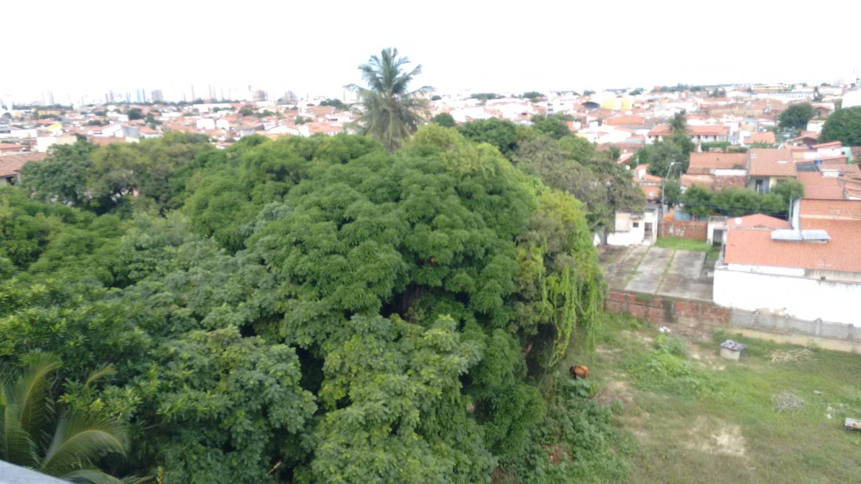 Apartamento com 3 quartos mobiliado Damas Fortaleza