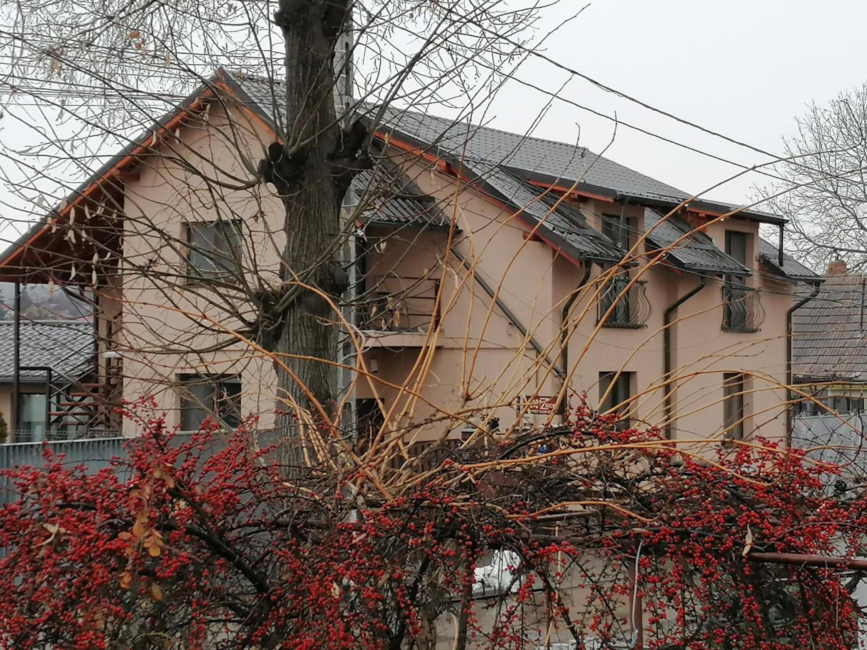 Pensiunea Casa Zece view 4