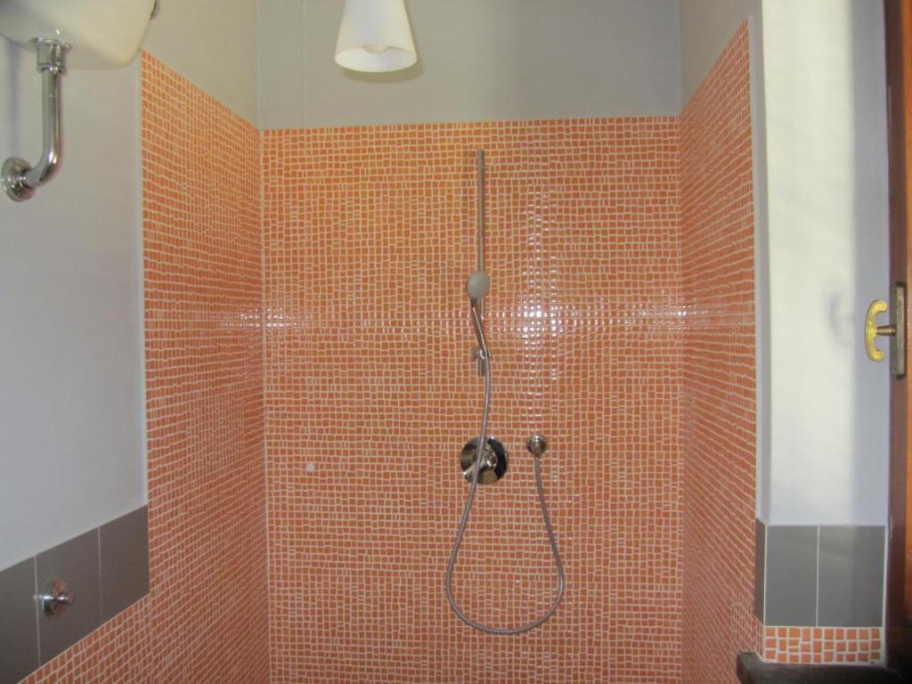 Photo 49