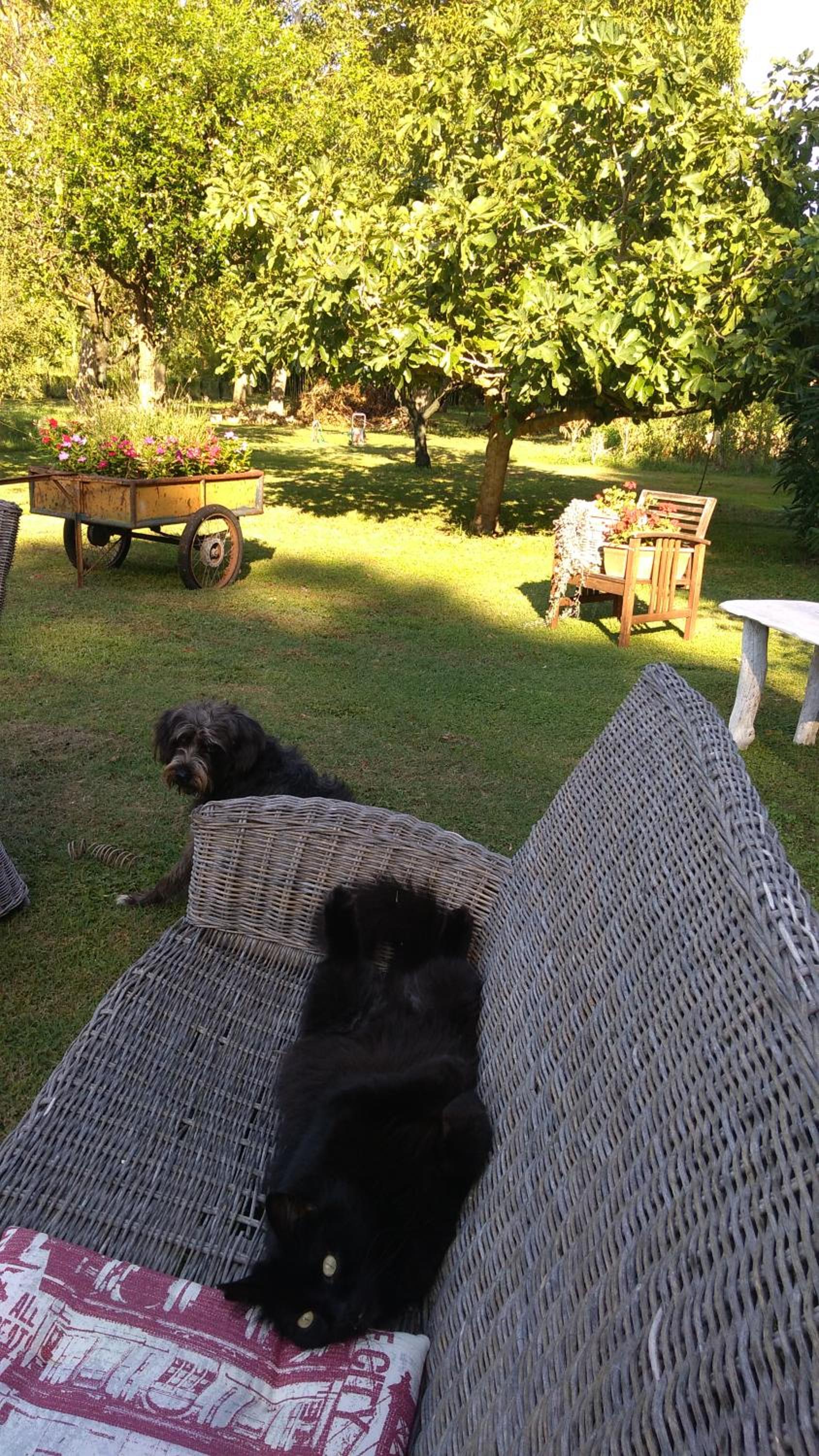 Photo 26