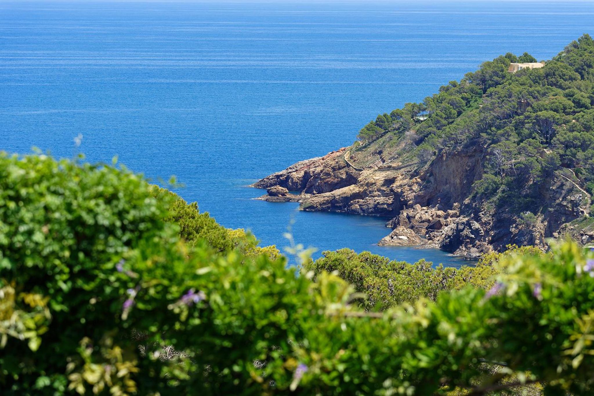ES RACO view 4