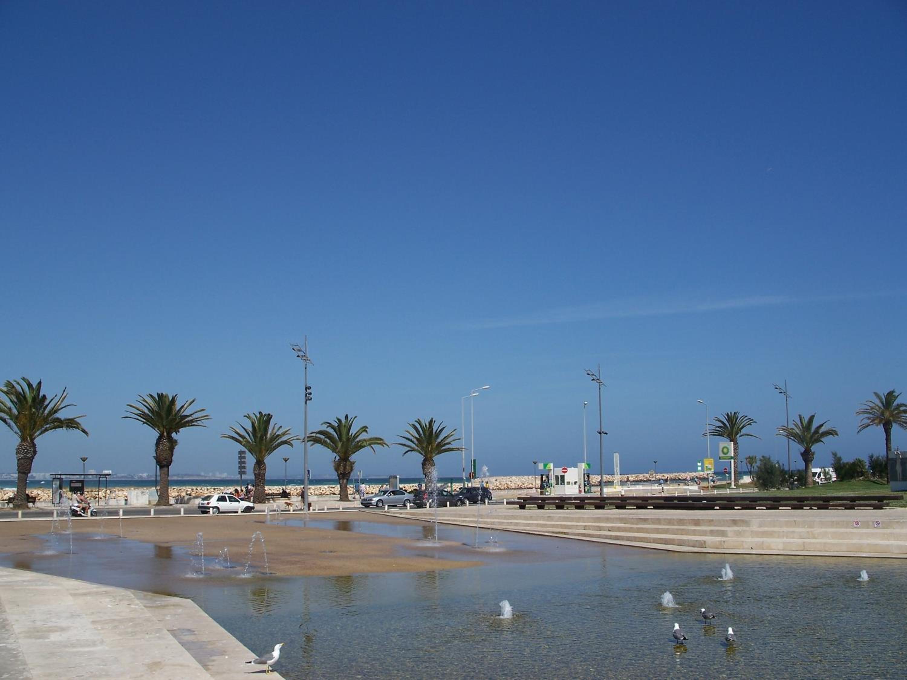 Spacious Apartment with Huge Terrace and Swimming Pool