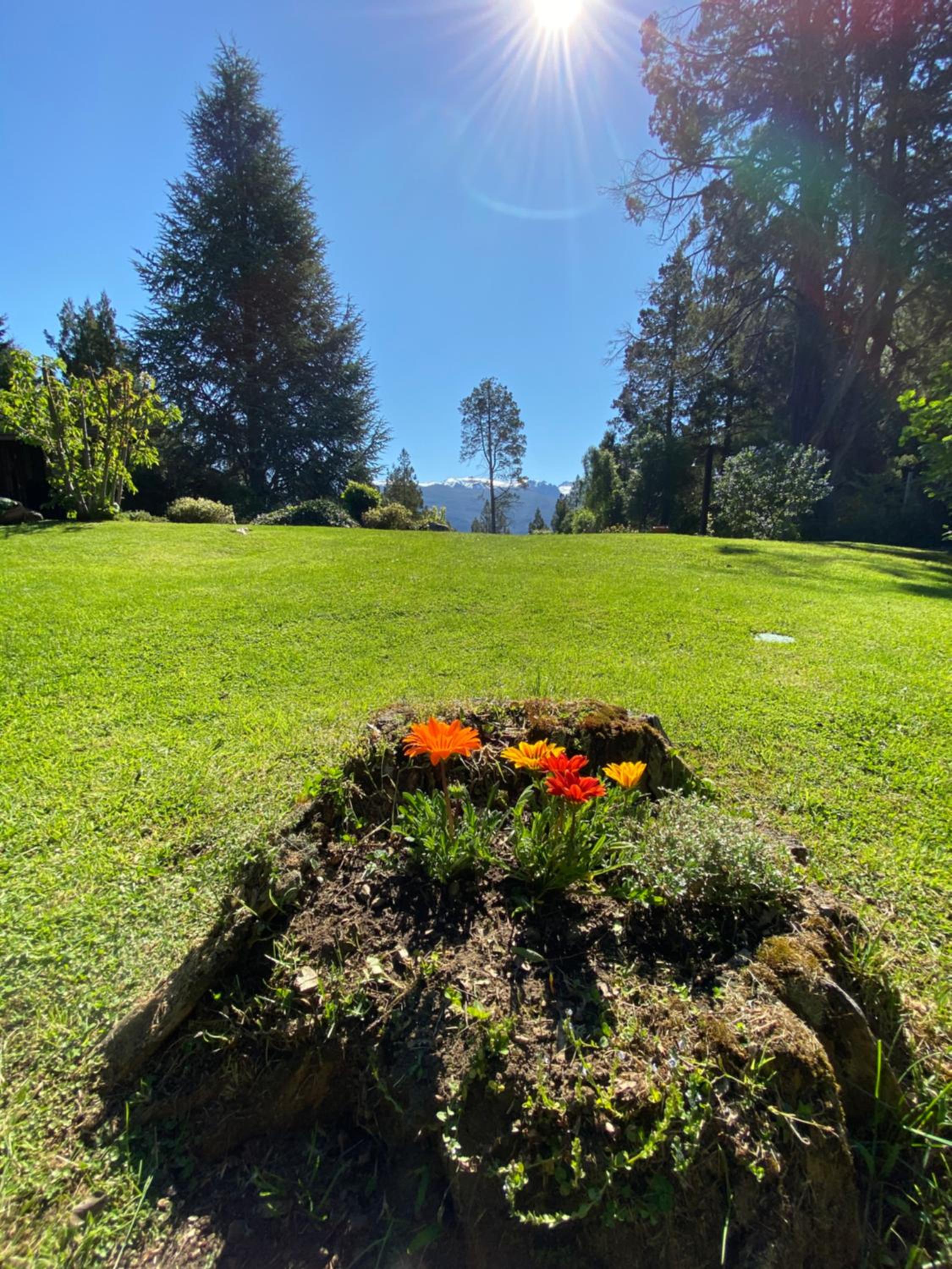 Altos del Sur Cabañas de Montaña