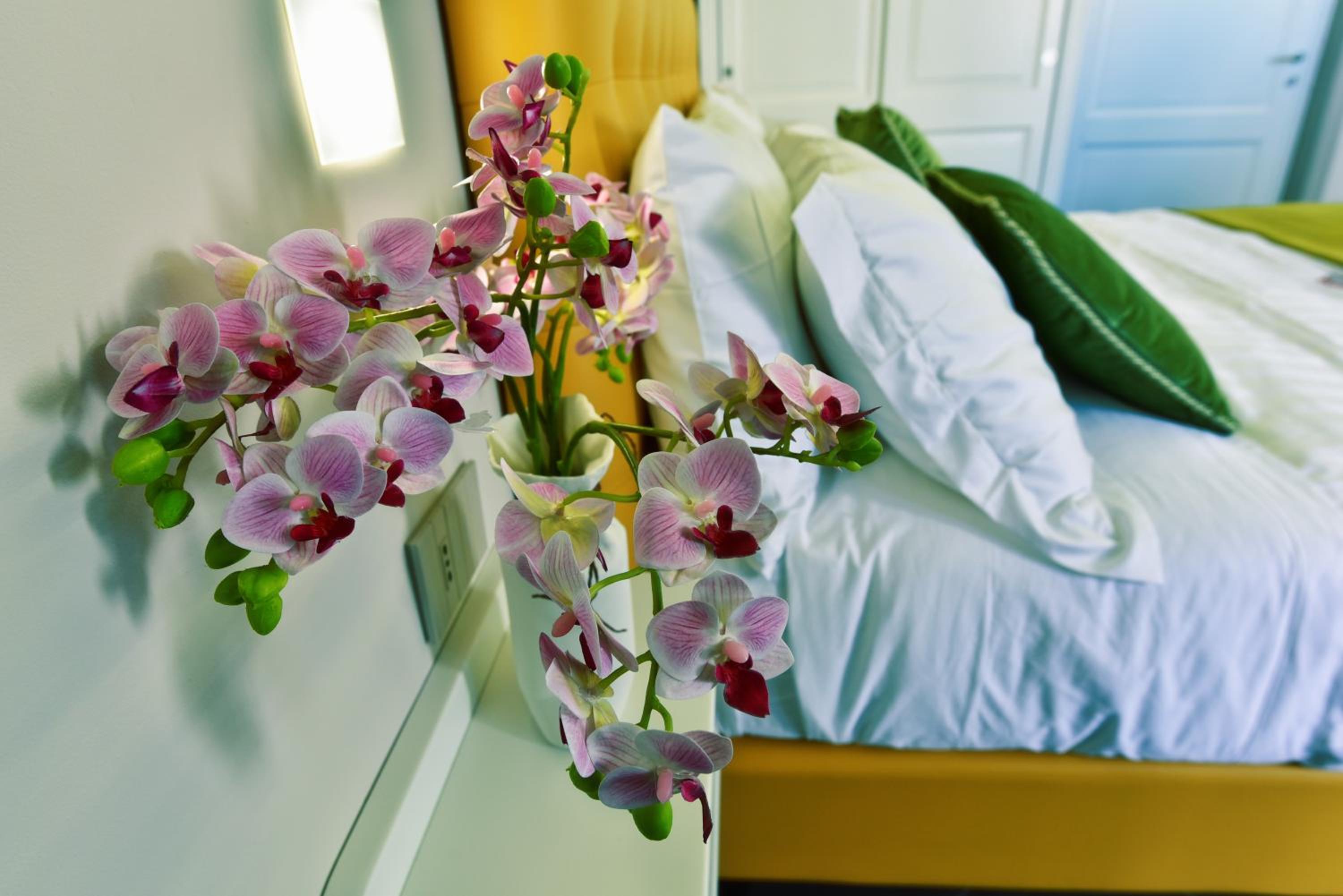 ANFITEATRO LE SUITES photo 2