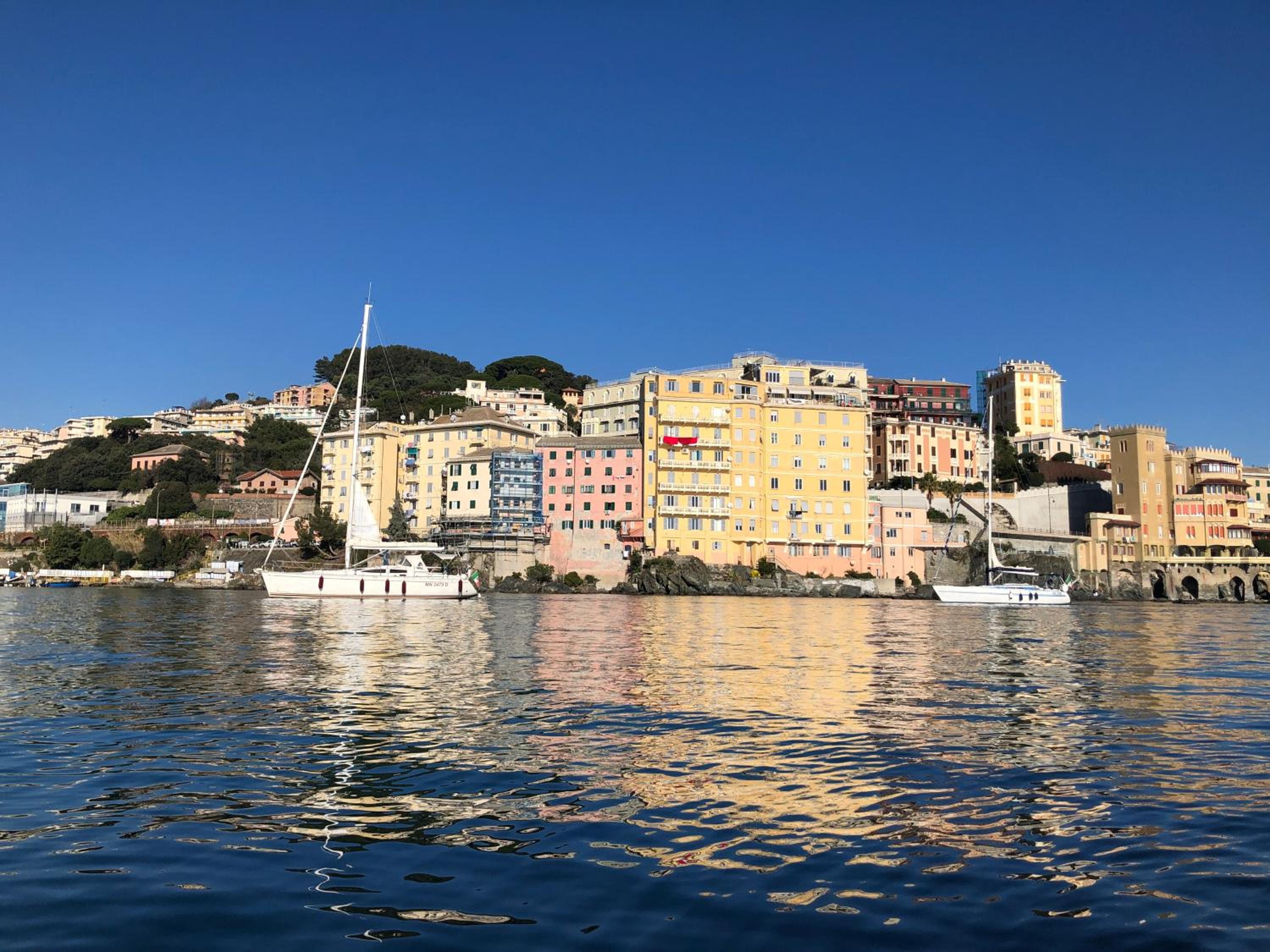 La Casa dei Sogni di Dory view 3