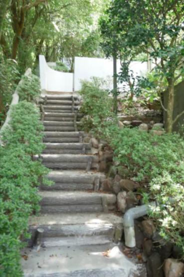 Photo 38