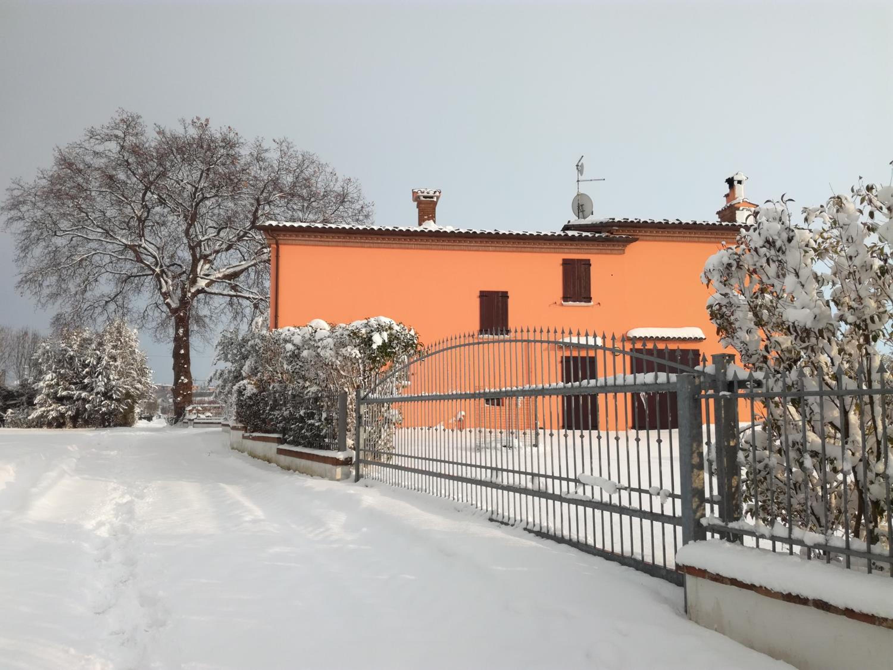 Photo 29