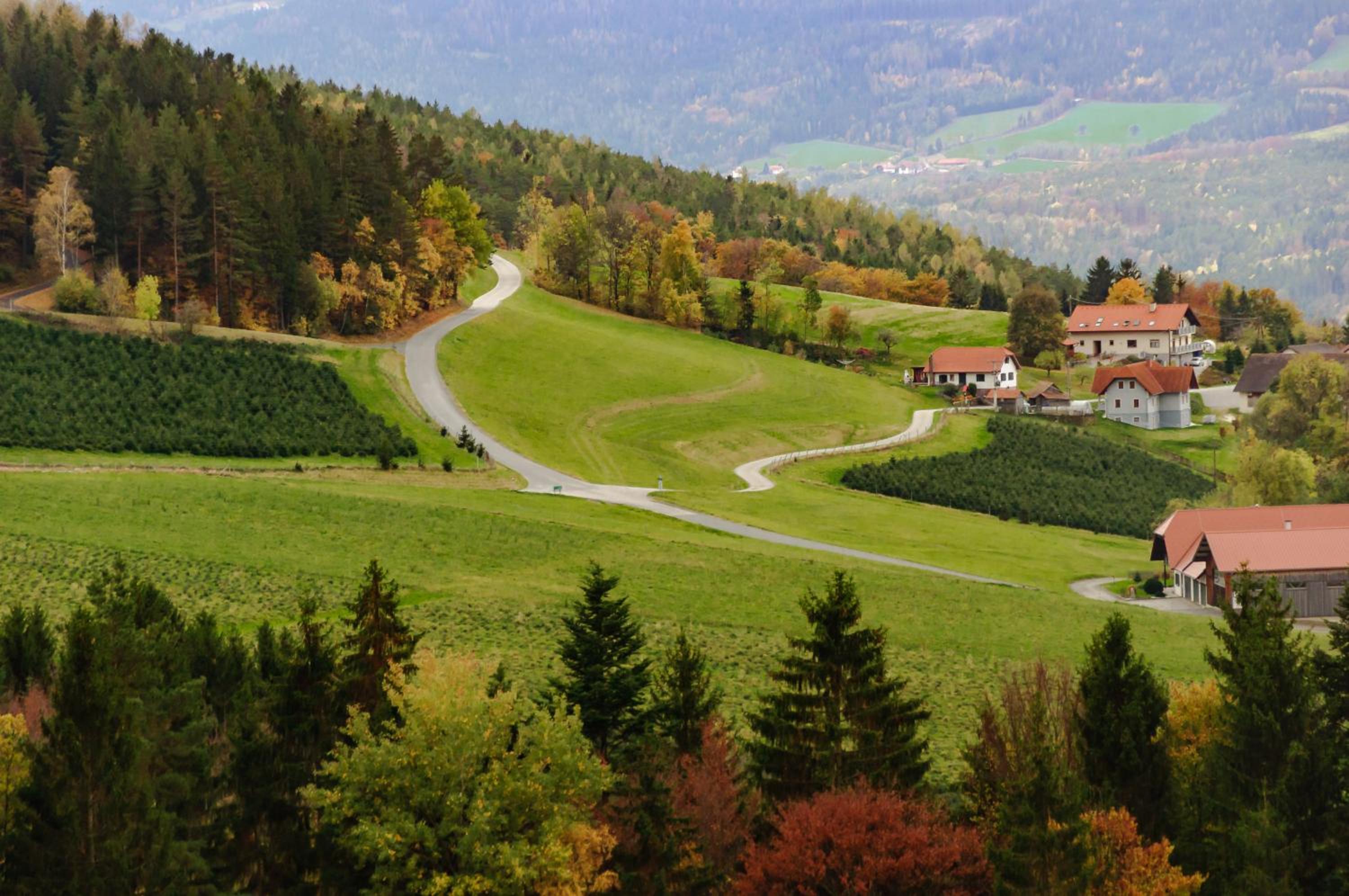Ferienhaus Mooshöf