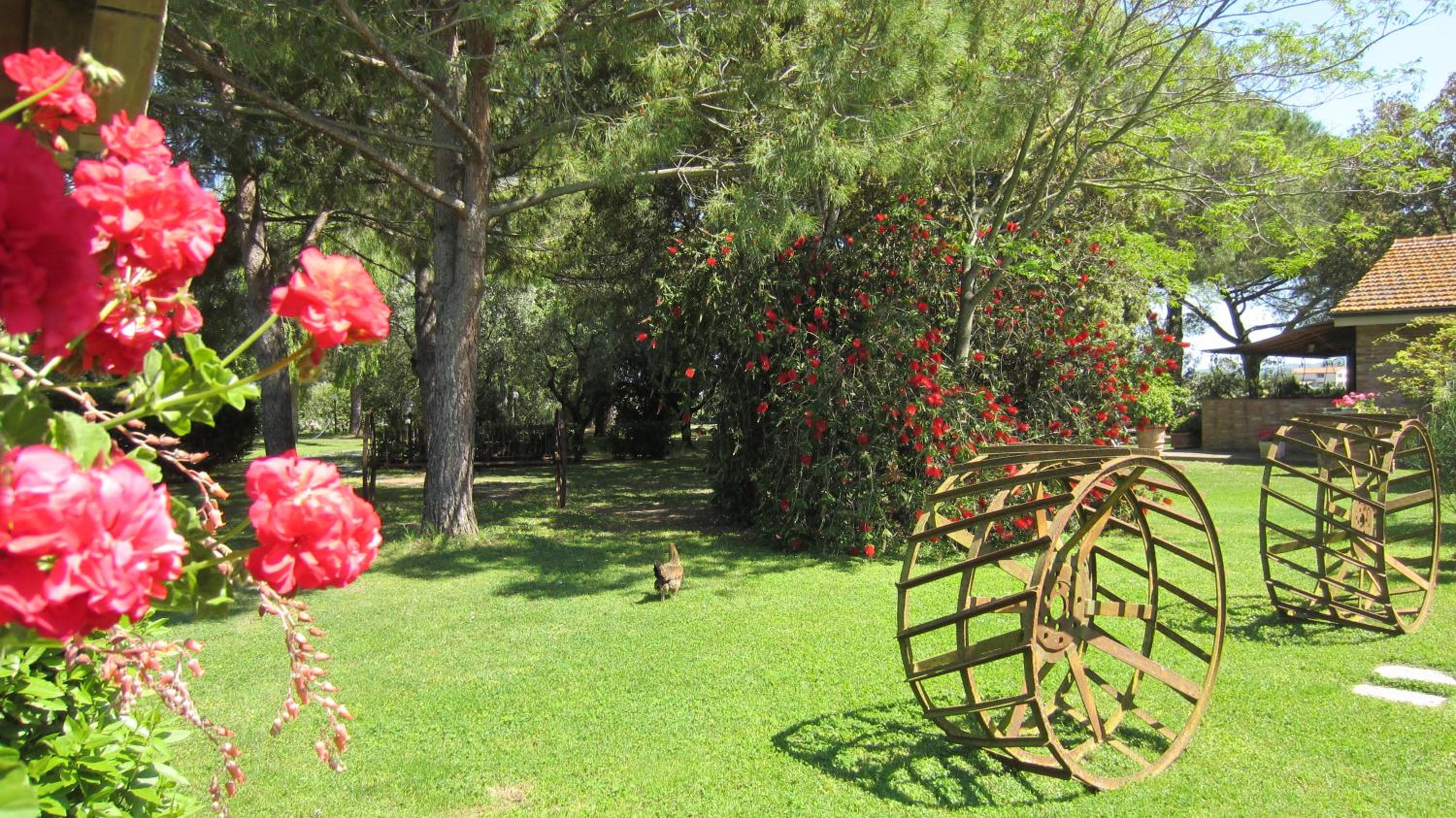 Photo 41