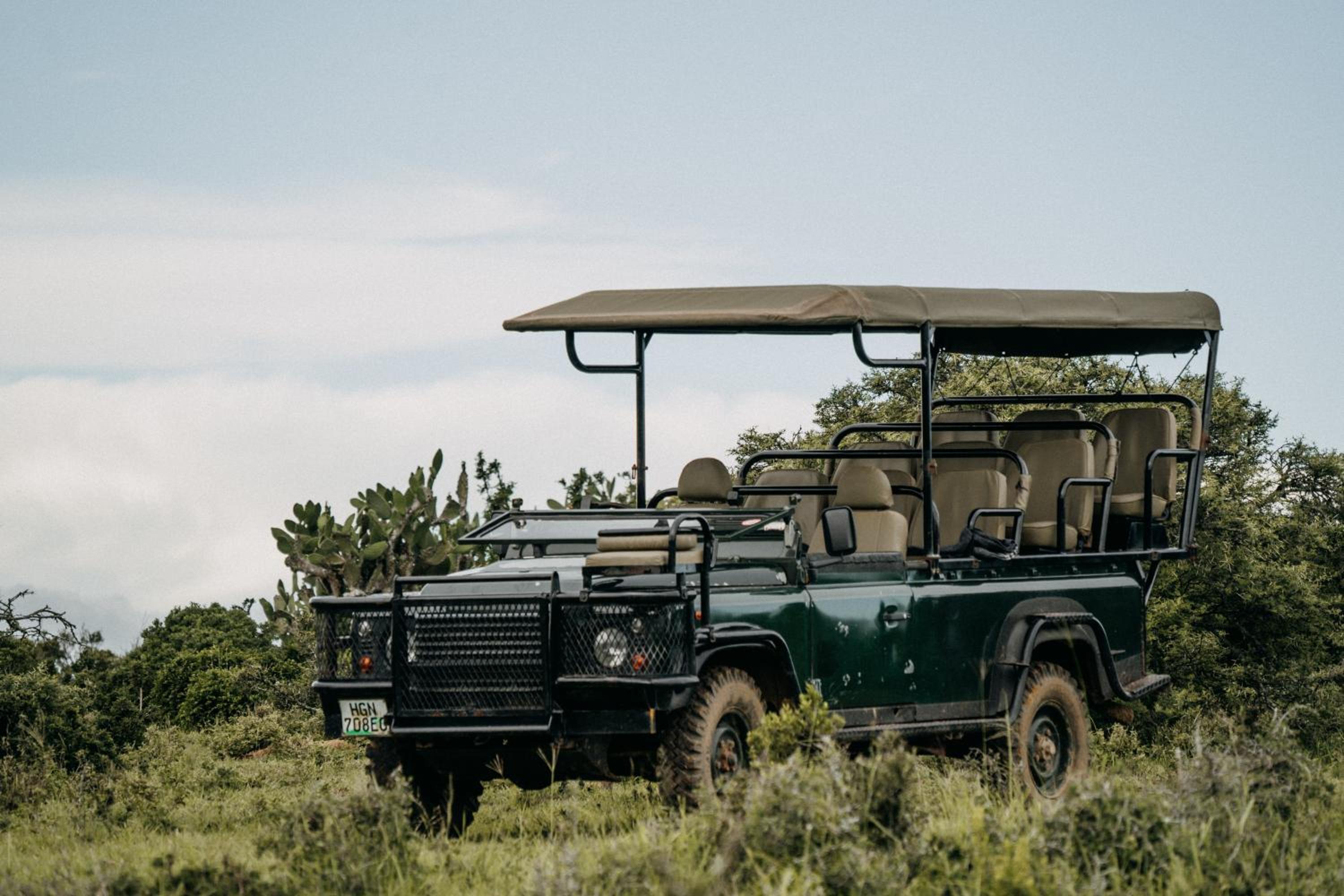 Addo Elephant Safari Lodge - Bellevue Forest Reserve