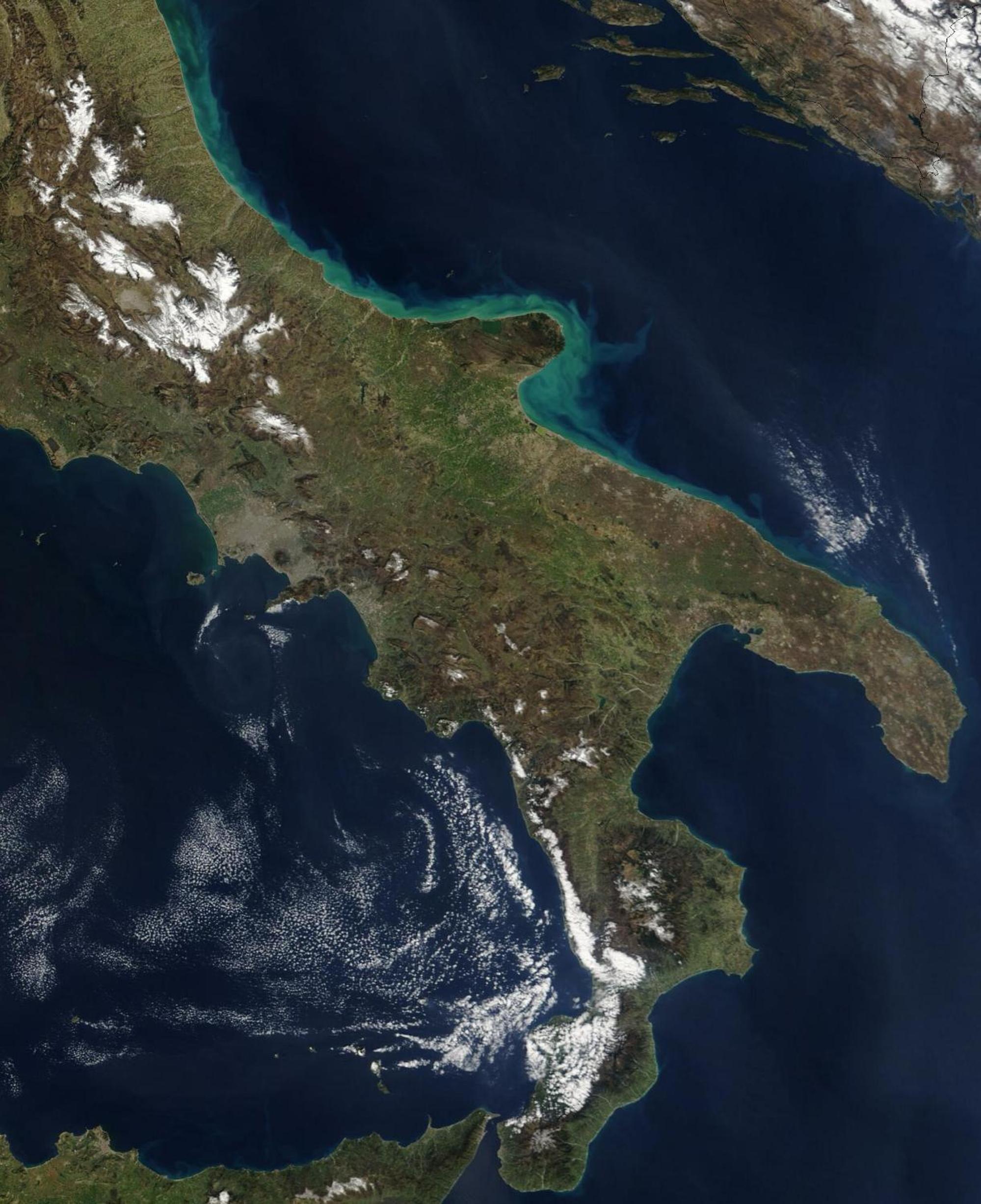 other