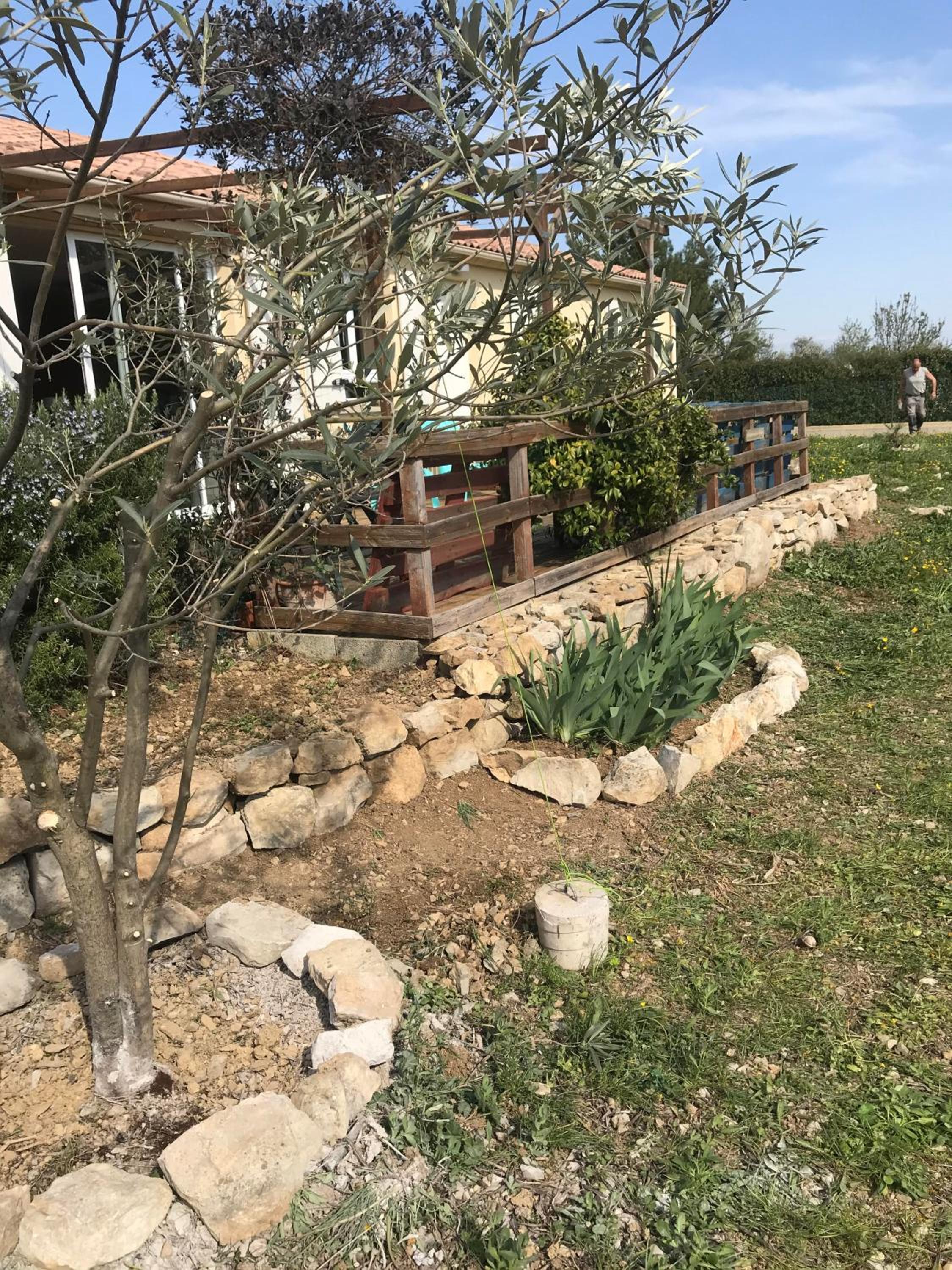Photo 6