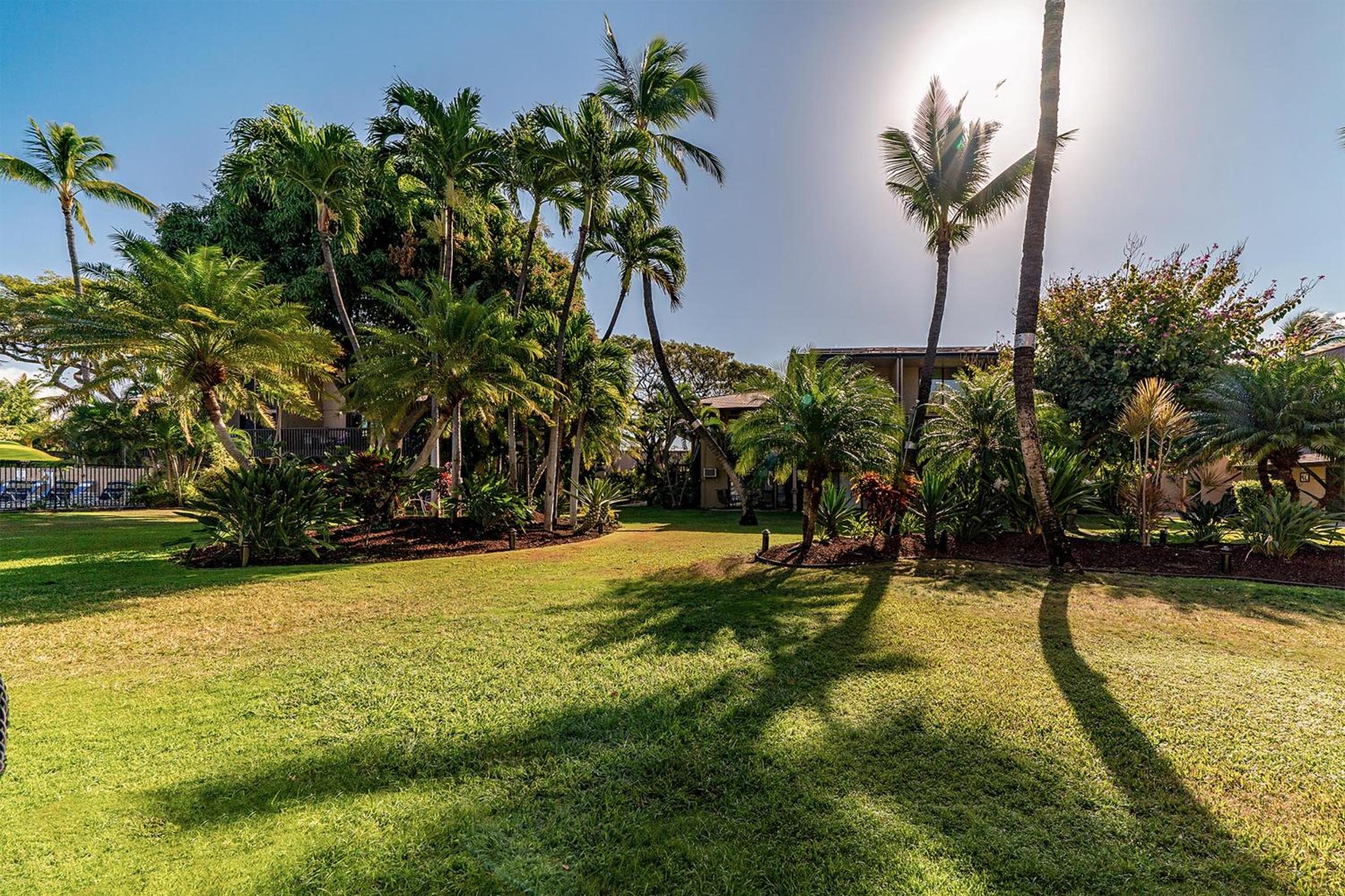 Kihei Garden Estates B-103 - Modern Designer Condo