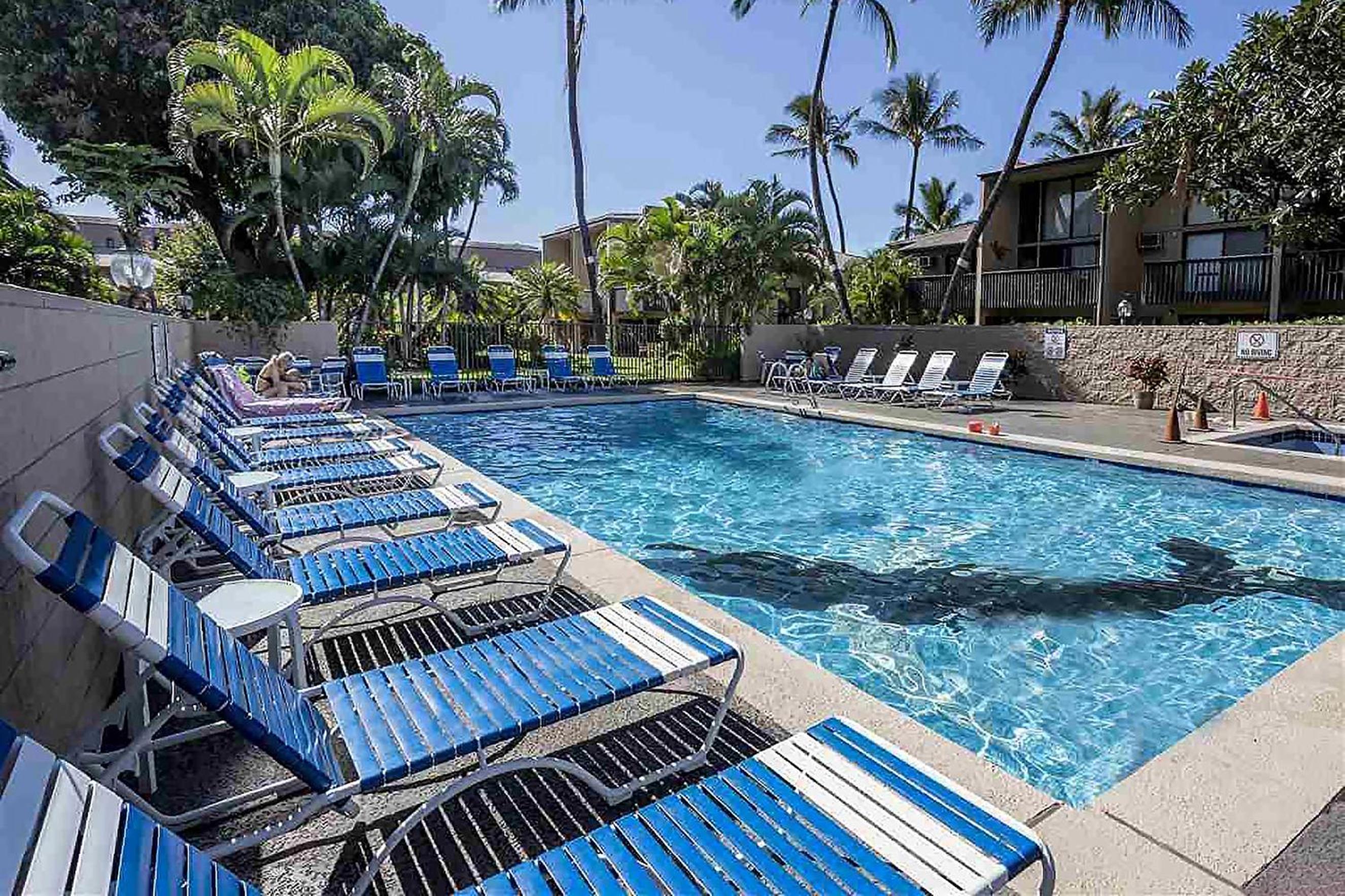 Kihei Garden Estates B-103 - Modern Designer Condo