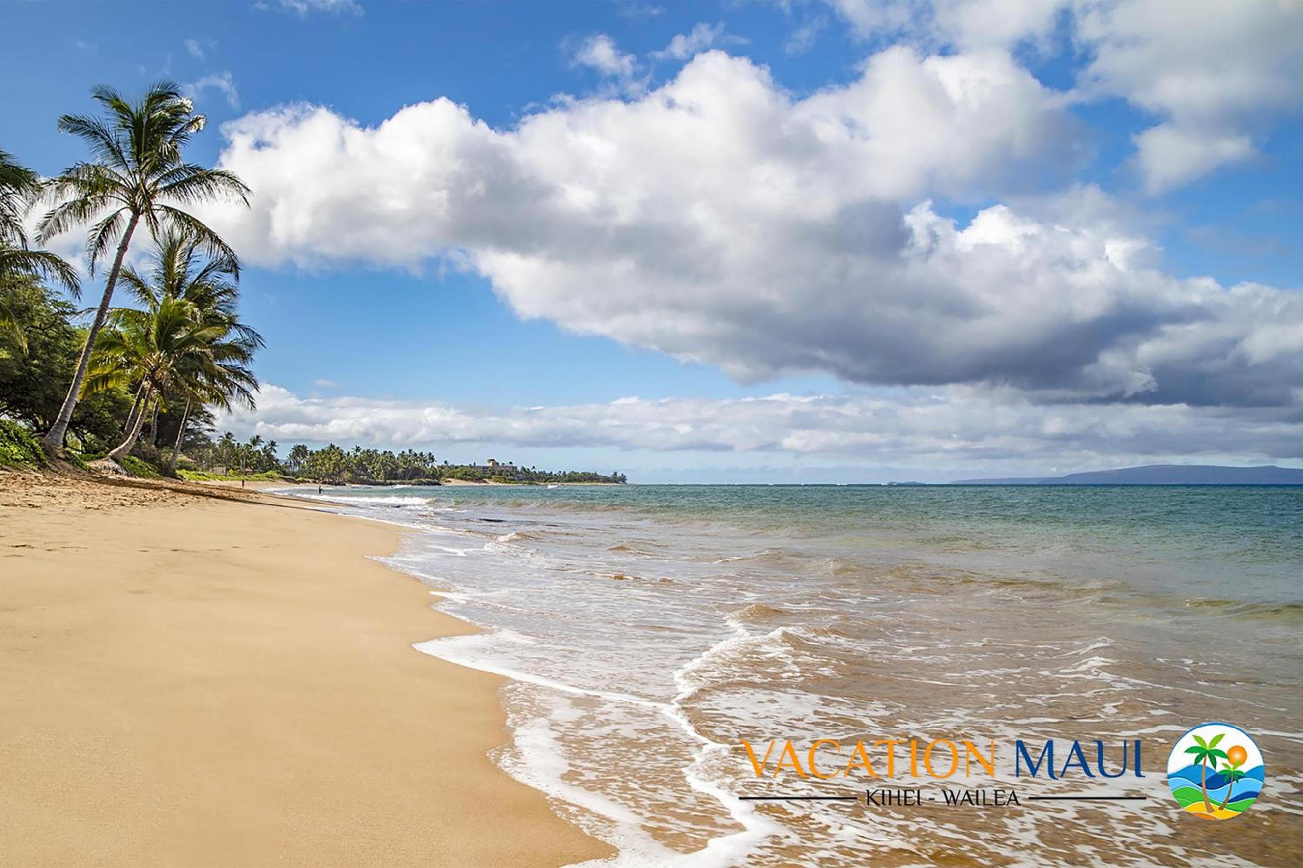 Kihei Garden Estates B-103 - Modern Designer Condo