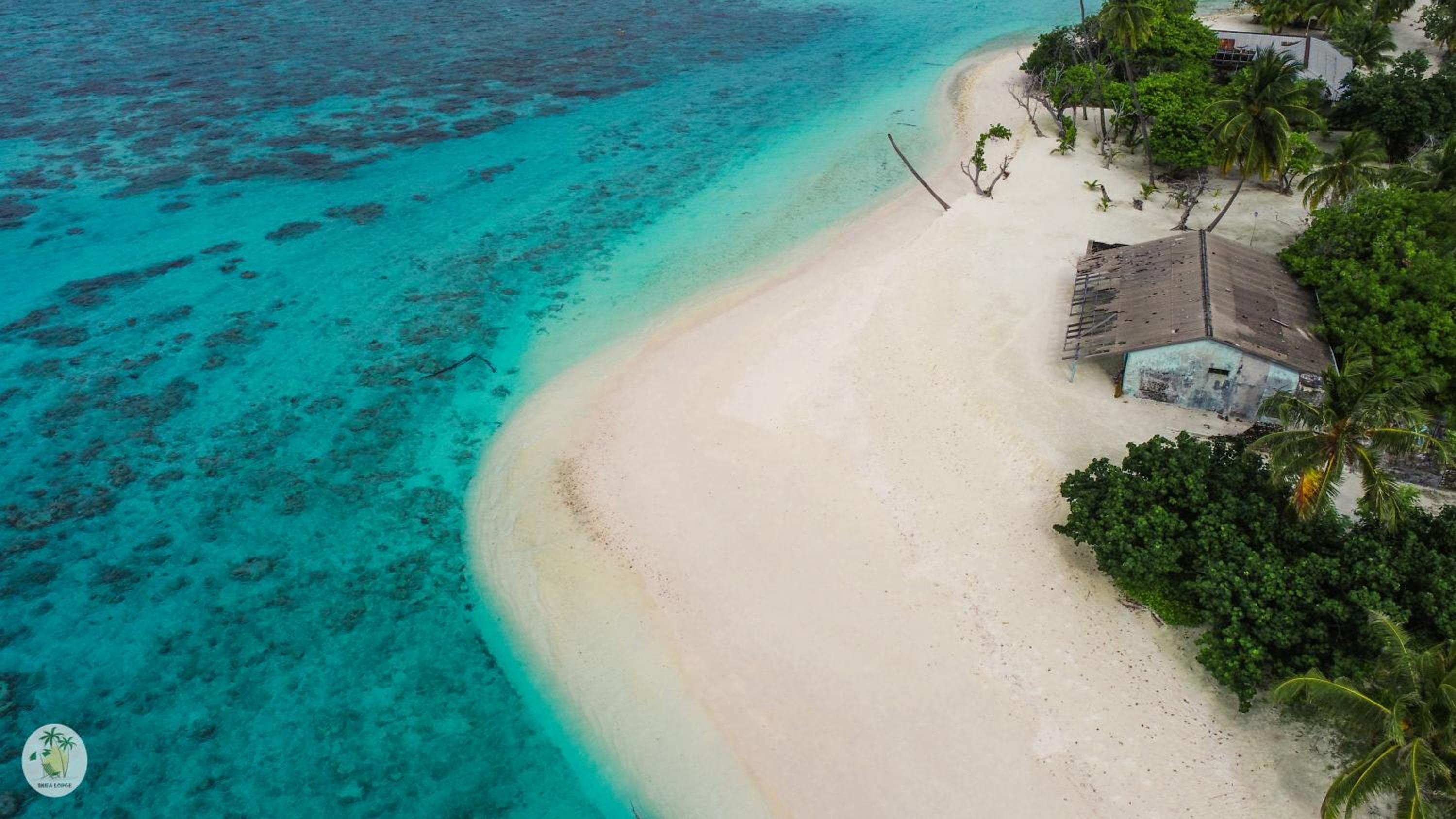 Shifa Lodge Maldives photo 4