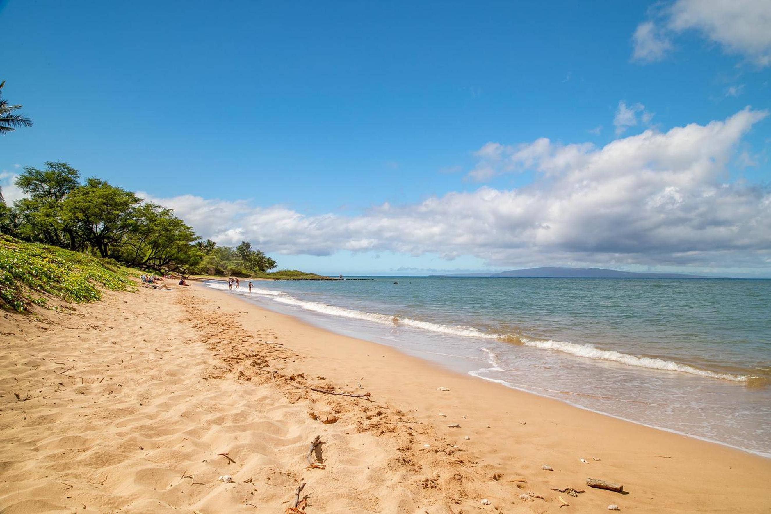 Kihei Garden Estates C-201 - Ocean Views, Split AC