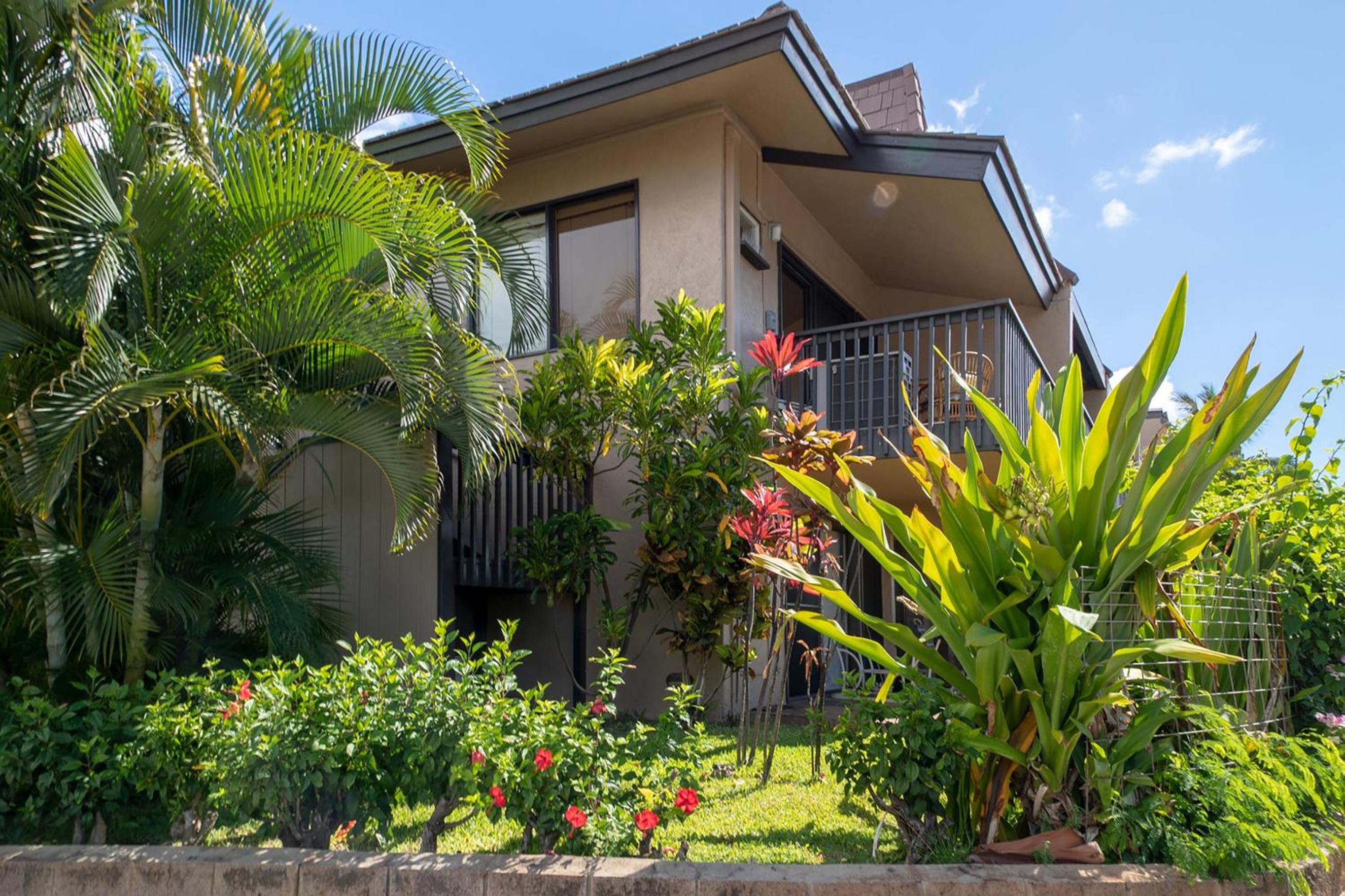 Kihei Garden Estates C-201 - Ocean Views, Split AC