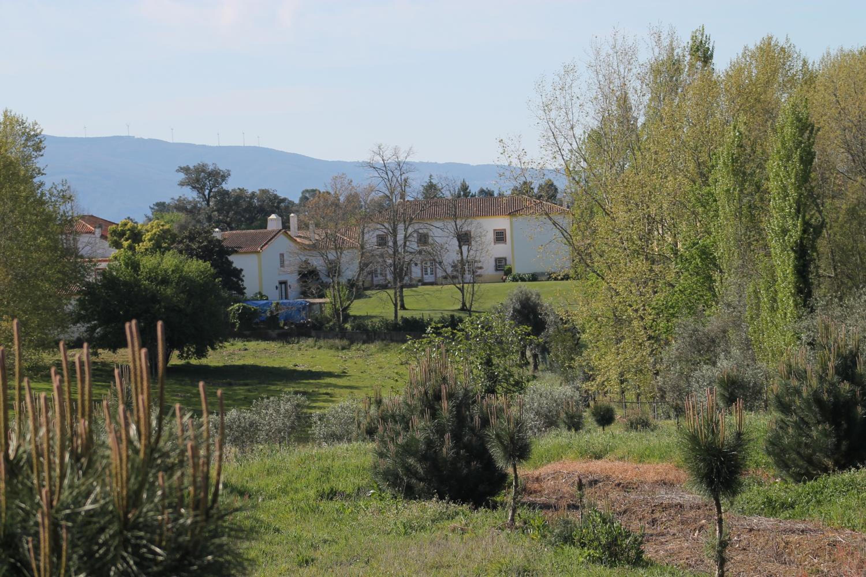 quinta do outeiro view 3