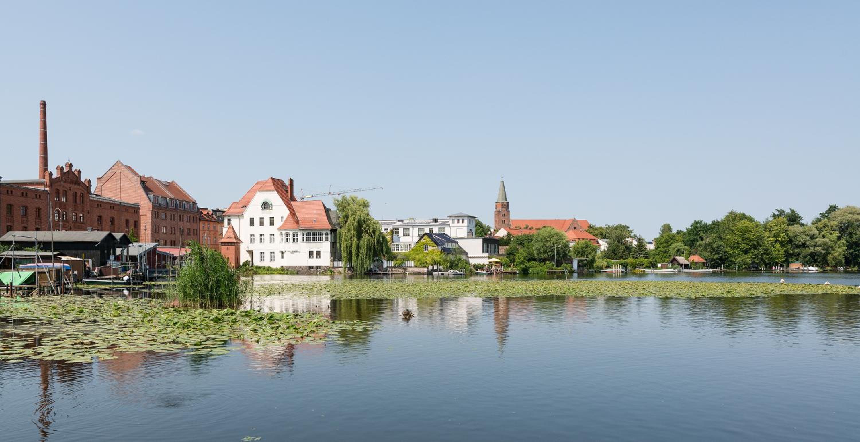 Fewo auf der Dominsel - SEEROSE