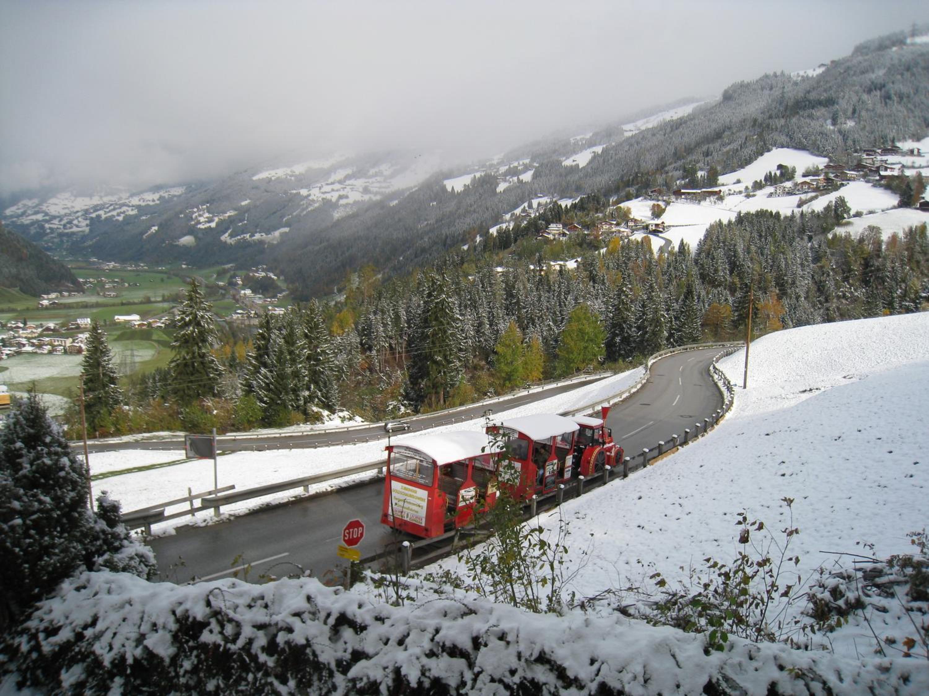 Photo 15