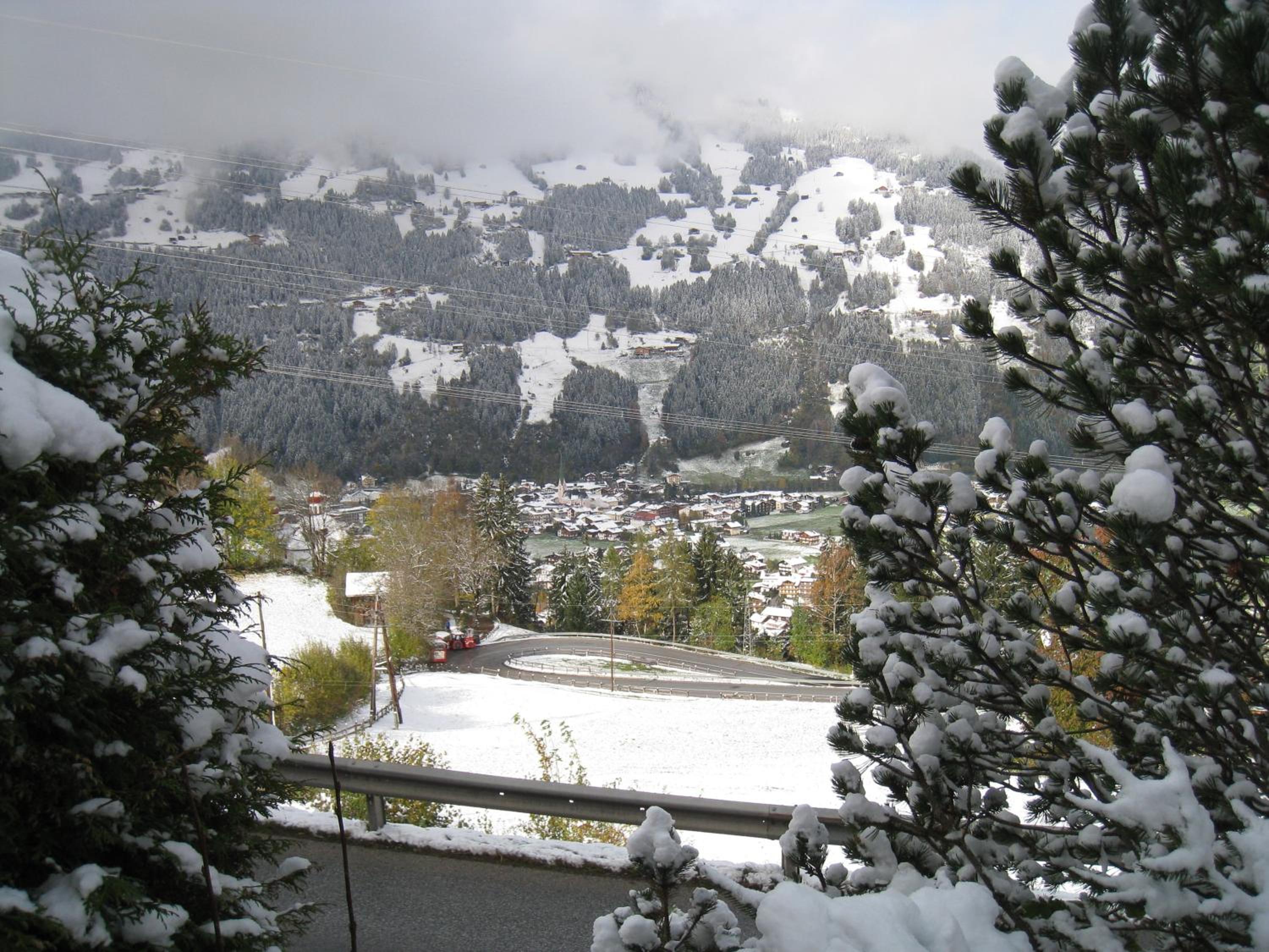 Photo 14