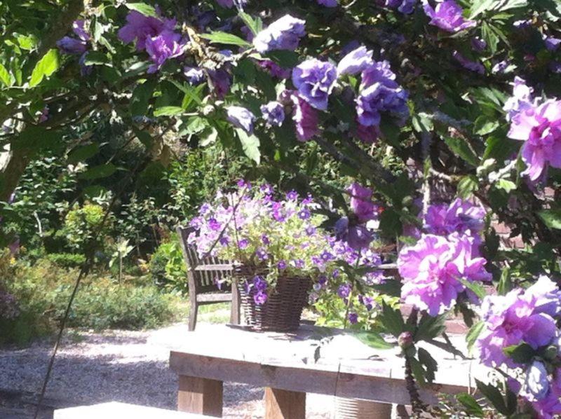 La-Perchade, photo 9