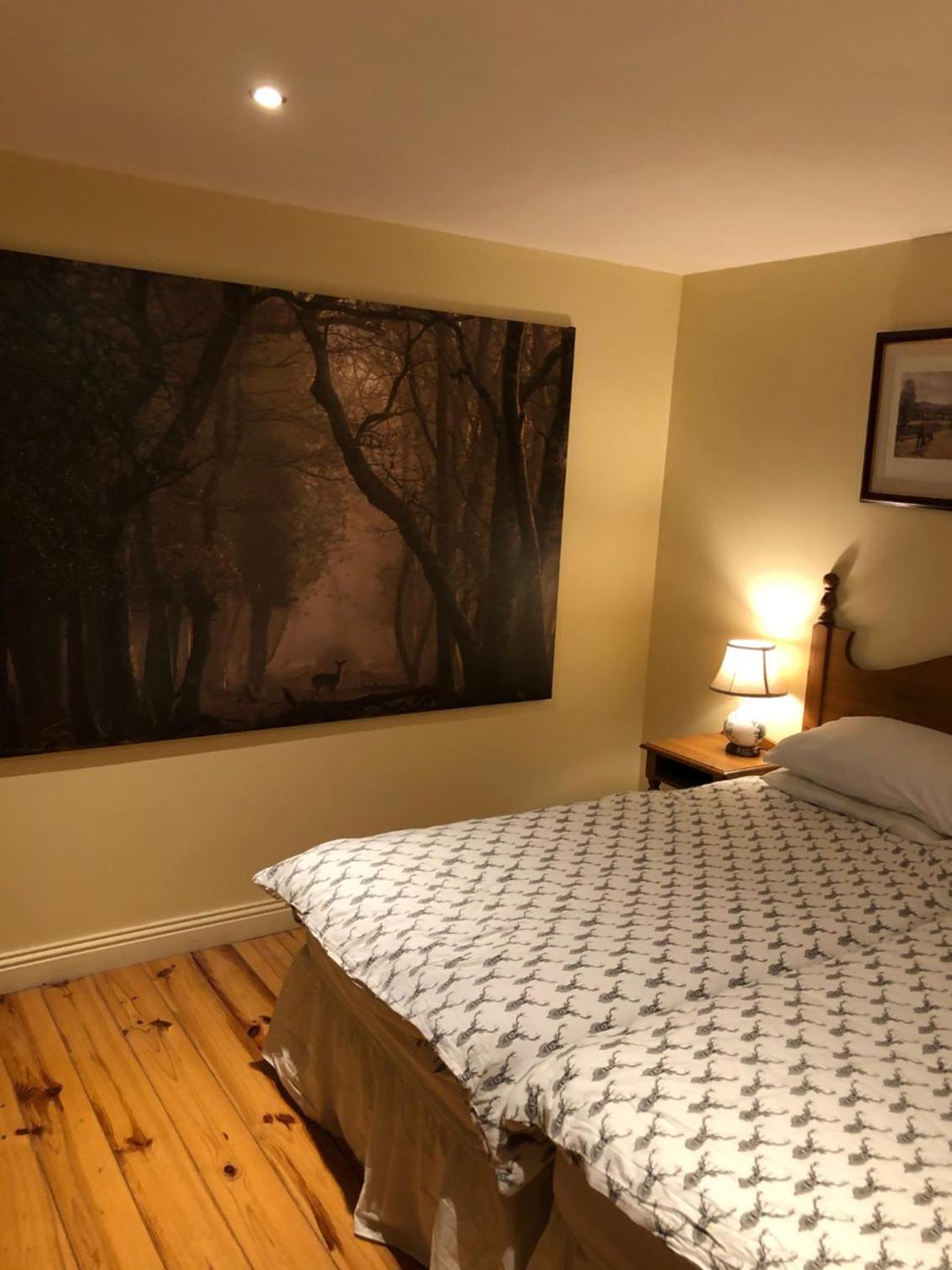 5 bedroom Lodge in Portumna Forest Park Ireland view 5