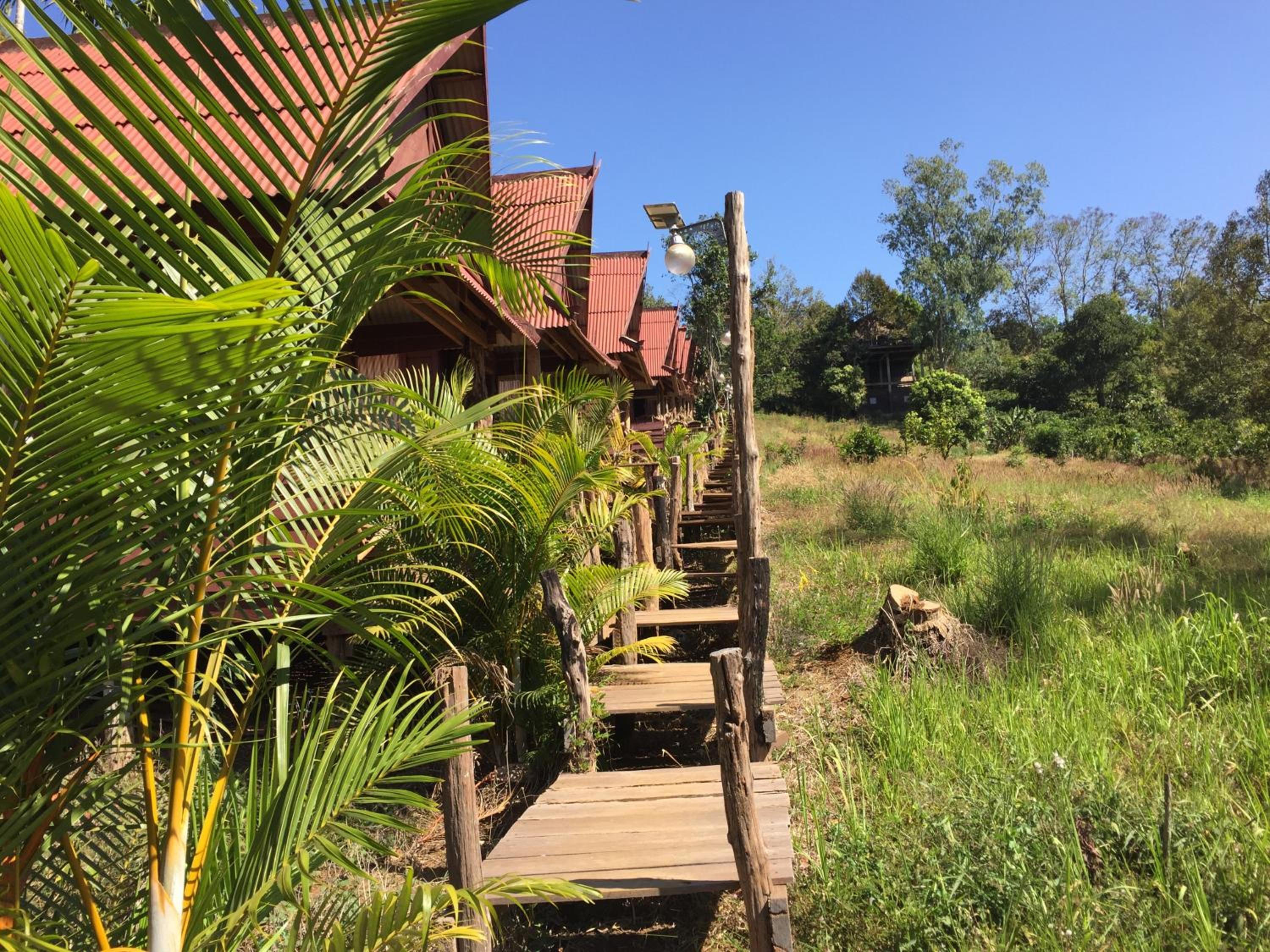 Tree Lodge view 4
