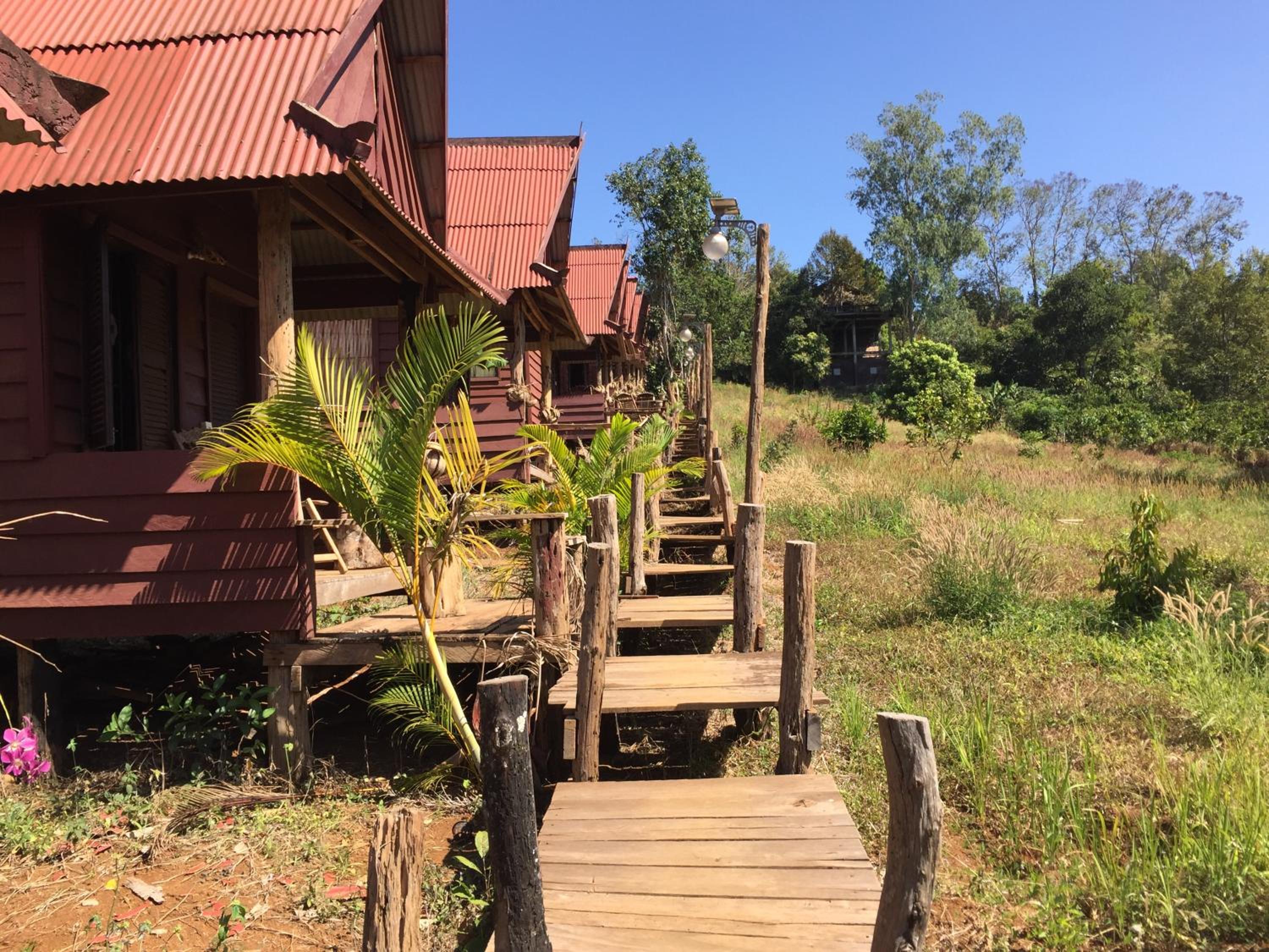 Tree Lodge view 5
